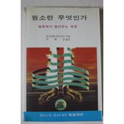 1990년 요시자와 야스카즈 원소란 무엇인가