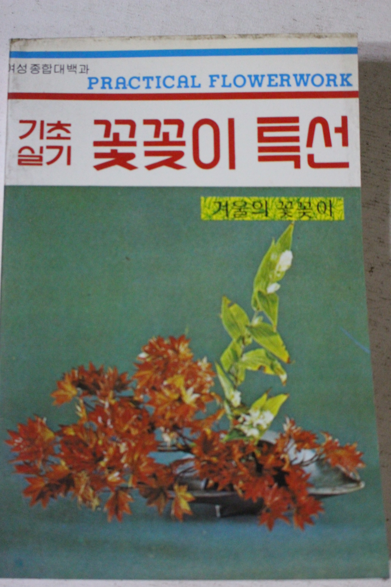 1981년 기초실기 꽃꽂이특선