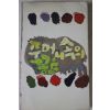 1976년 주머니속의 꽁트
