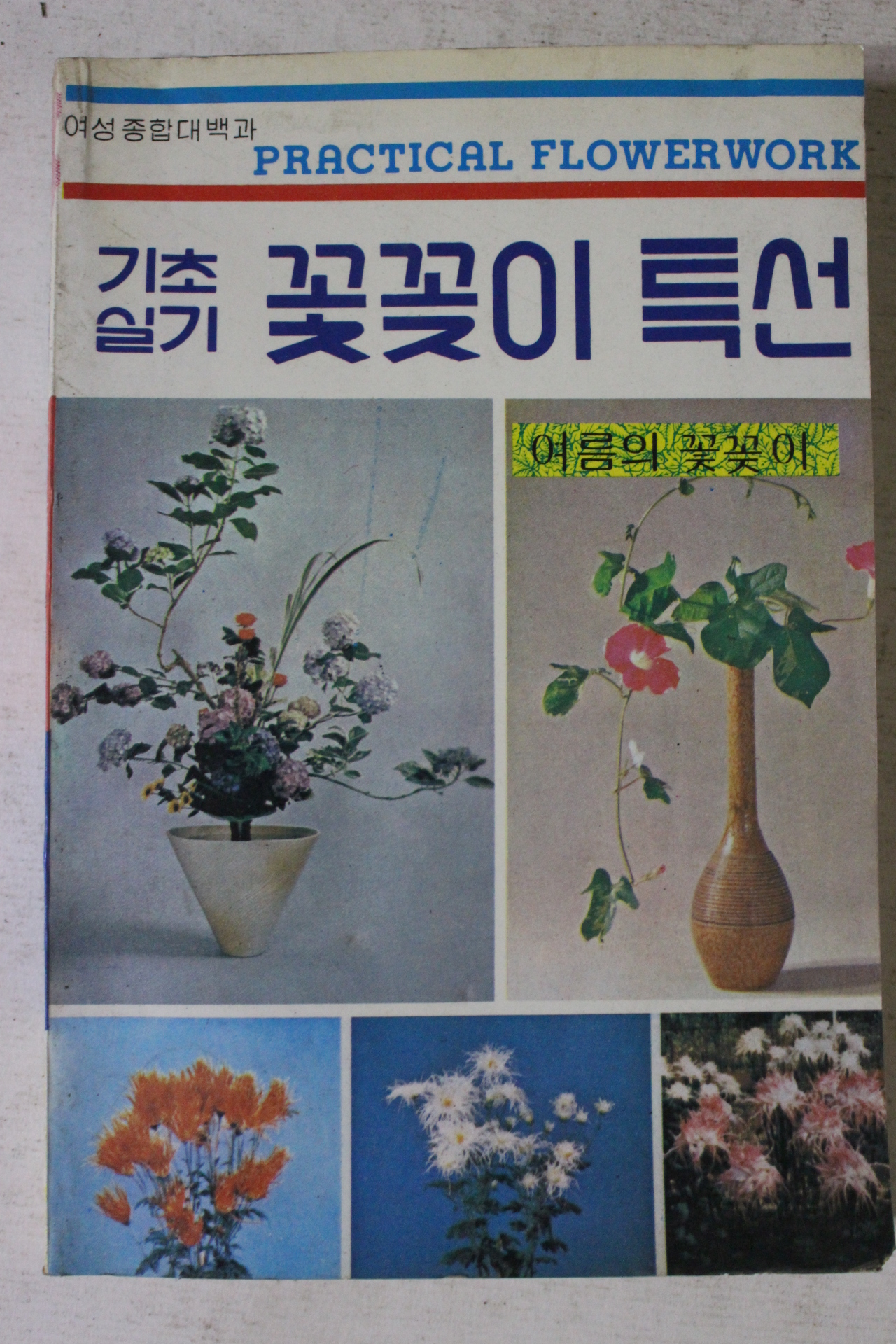 1981년 기초실기 꽃꽂이특선