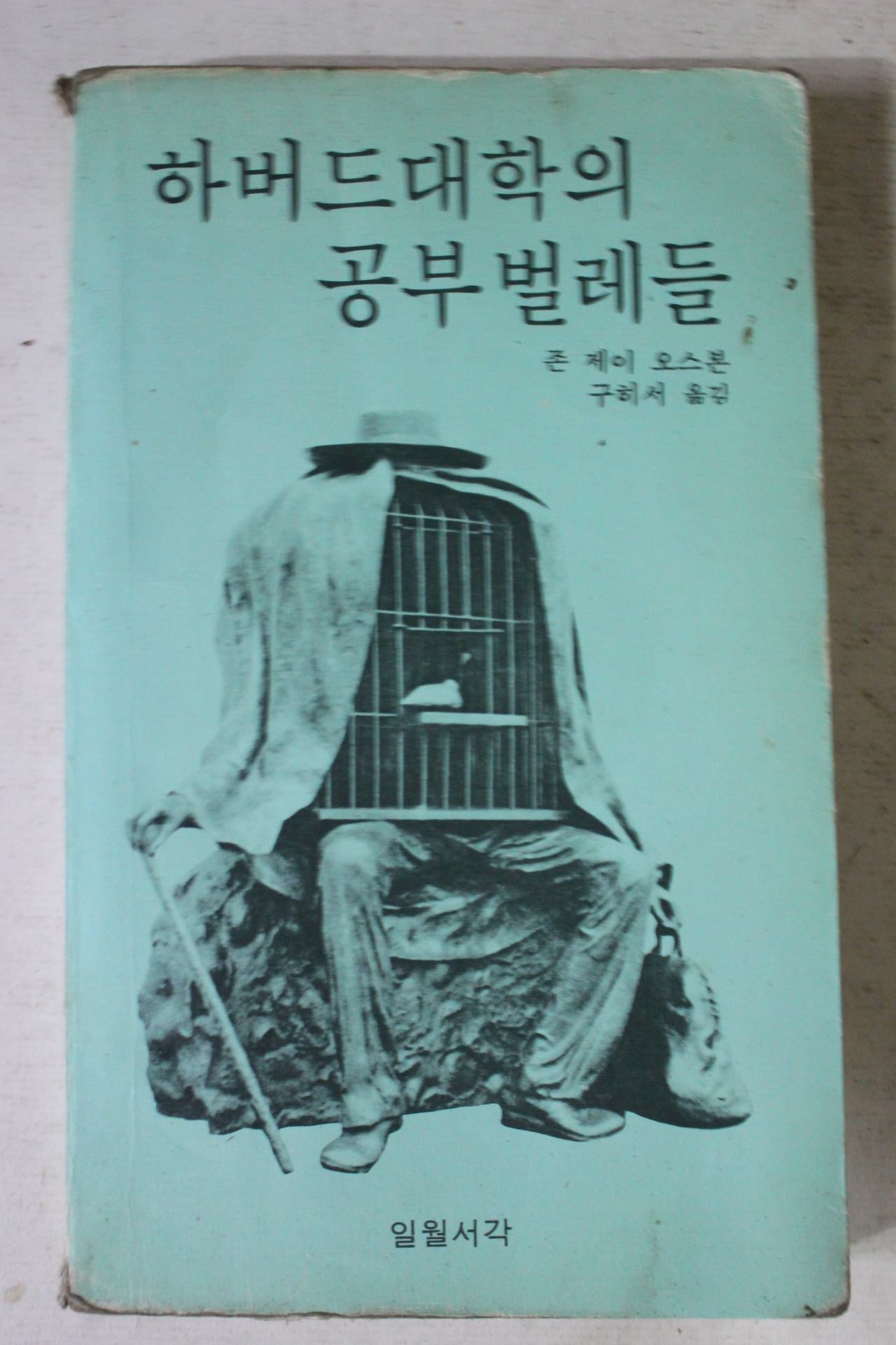 1980년 존 제이 하버드대학의 공부벌레들