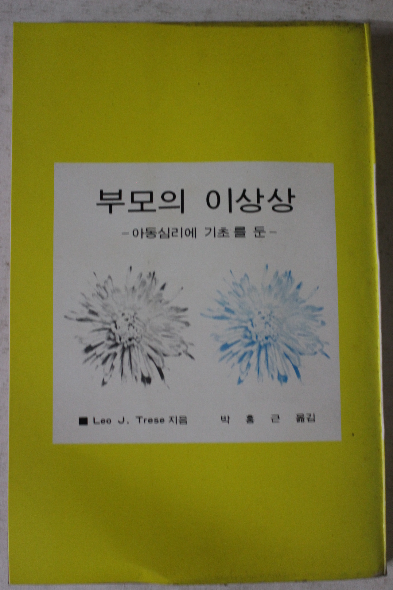 1985년 부모의 이상상