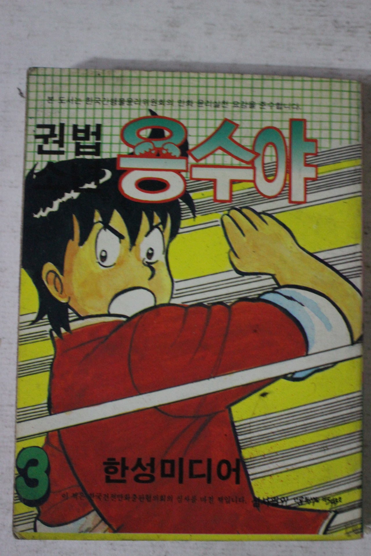 1991년 만화 권법용수야 3
