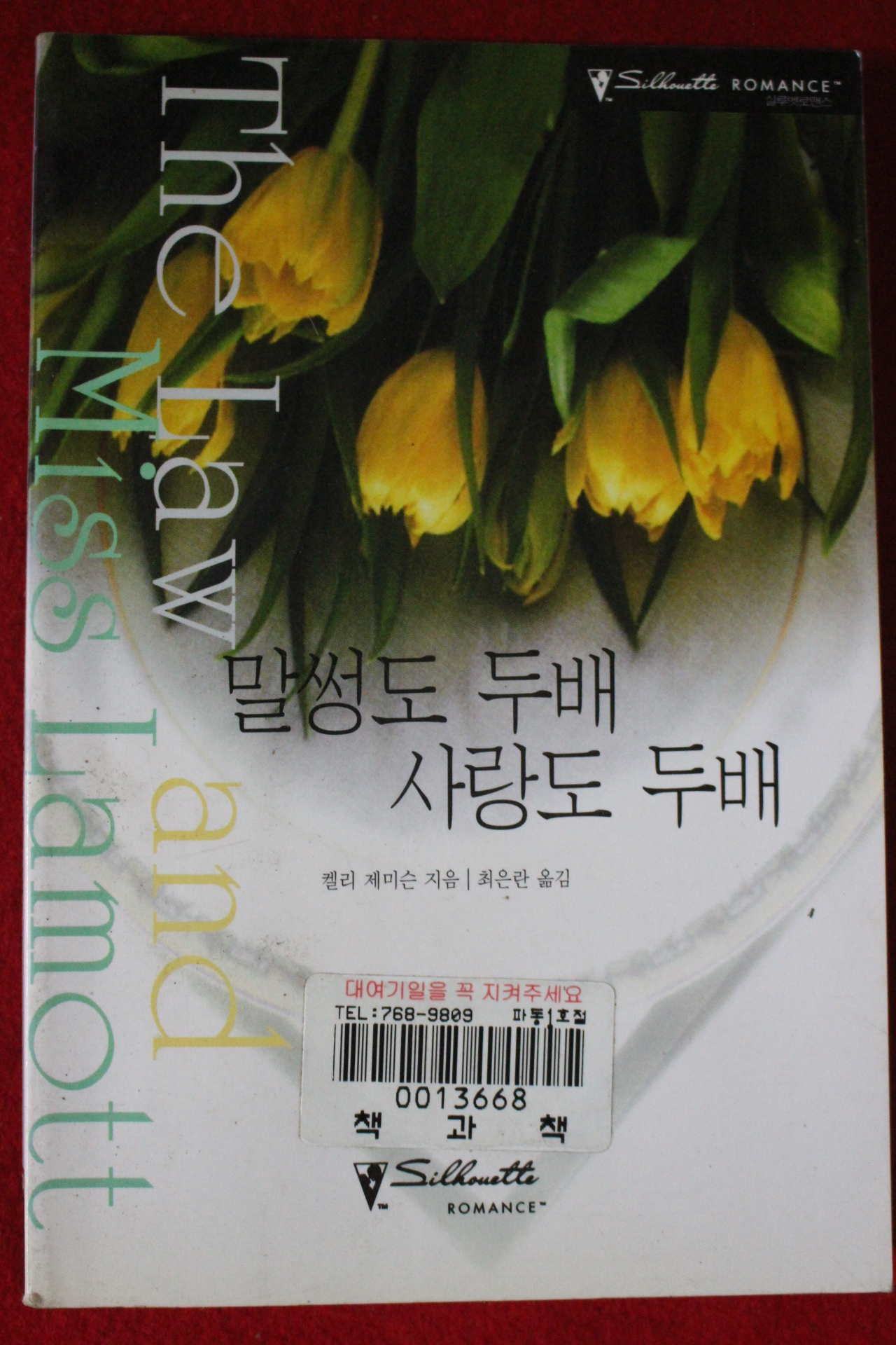 2000년 켈리 제이슨 말썽도 두배 사랑도 두배