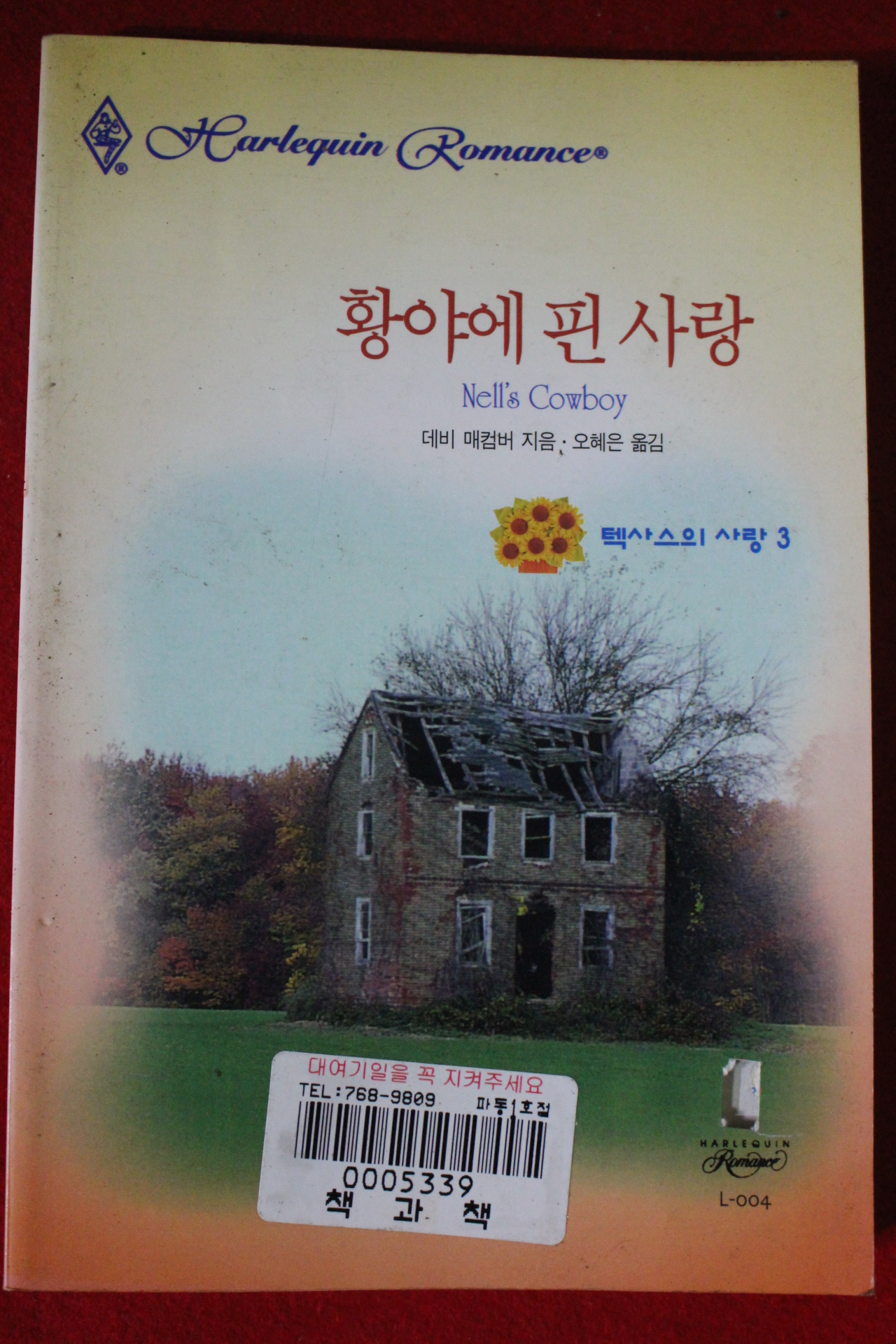 1999년 데비 매컴버 황야에 핀 사랑