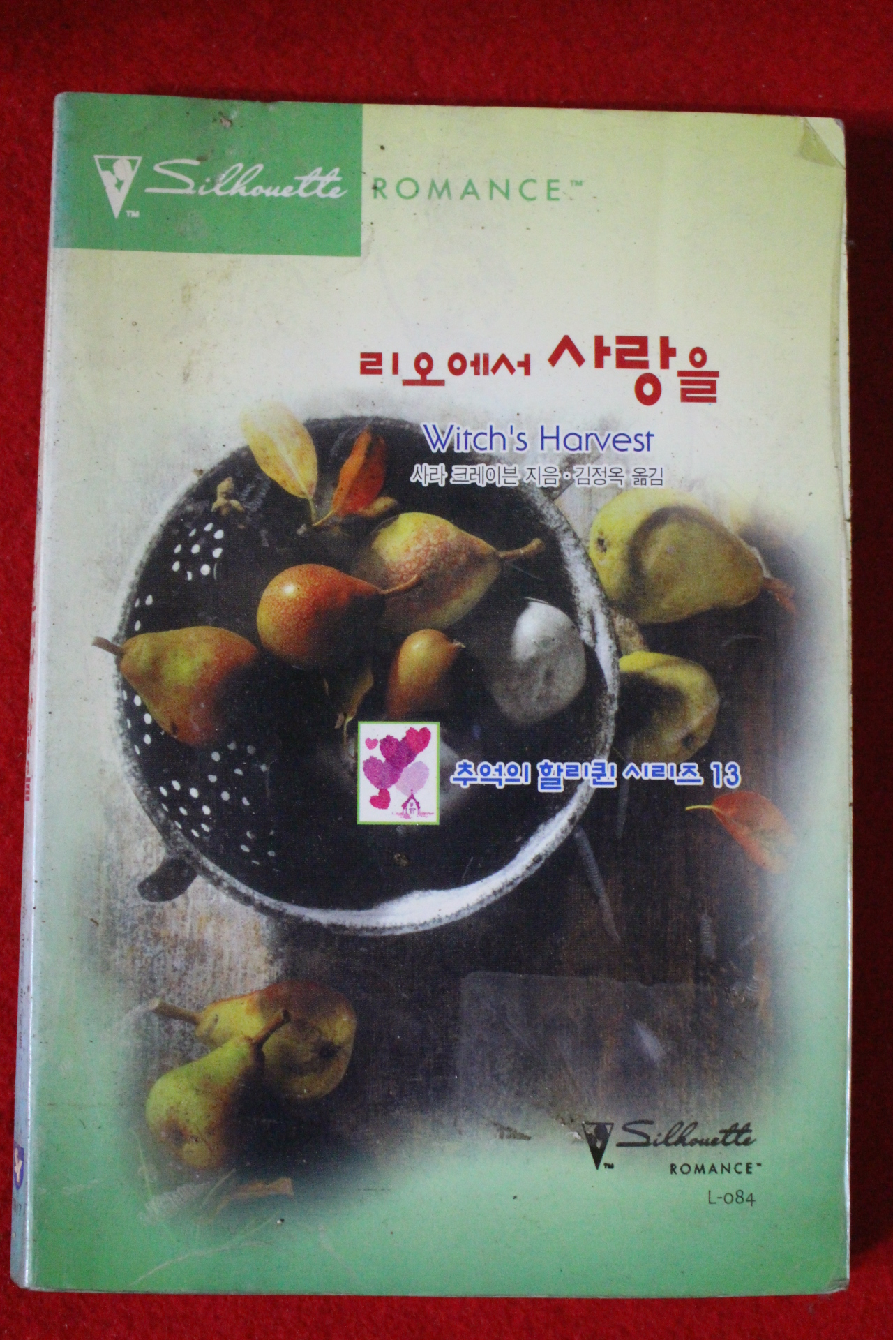 1999년 사라 크레이븐 리오에서 사랑을