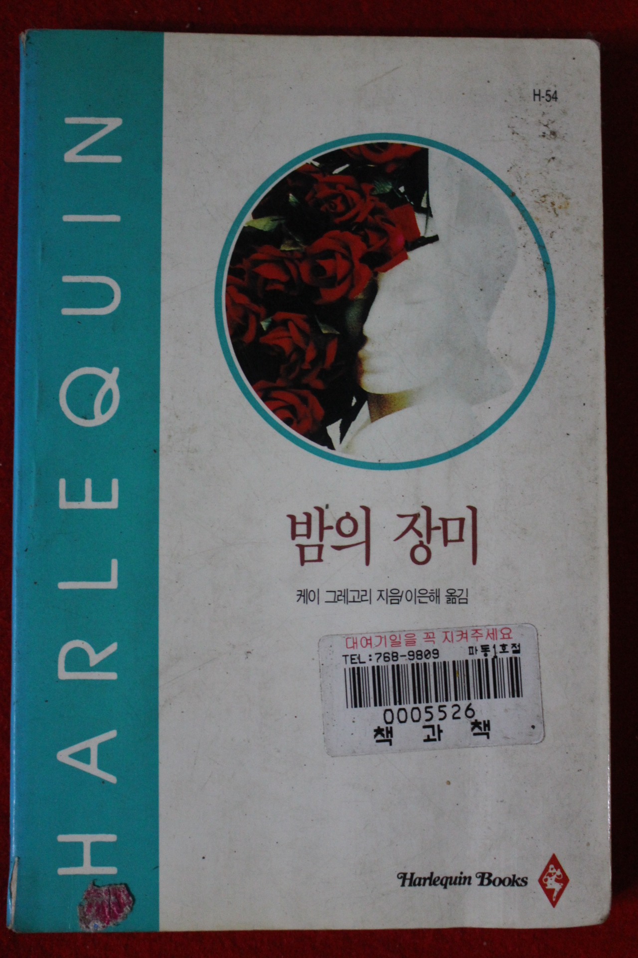 1995년 케이 그레고리 밤의 장미