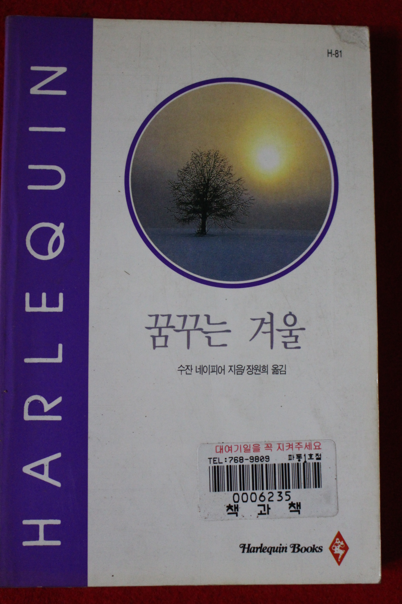 1995년 수잔 네이피아 꿈꾸는 겨울
