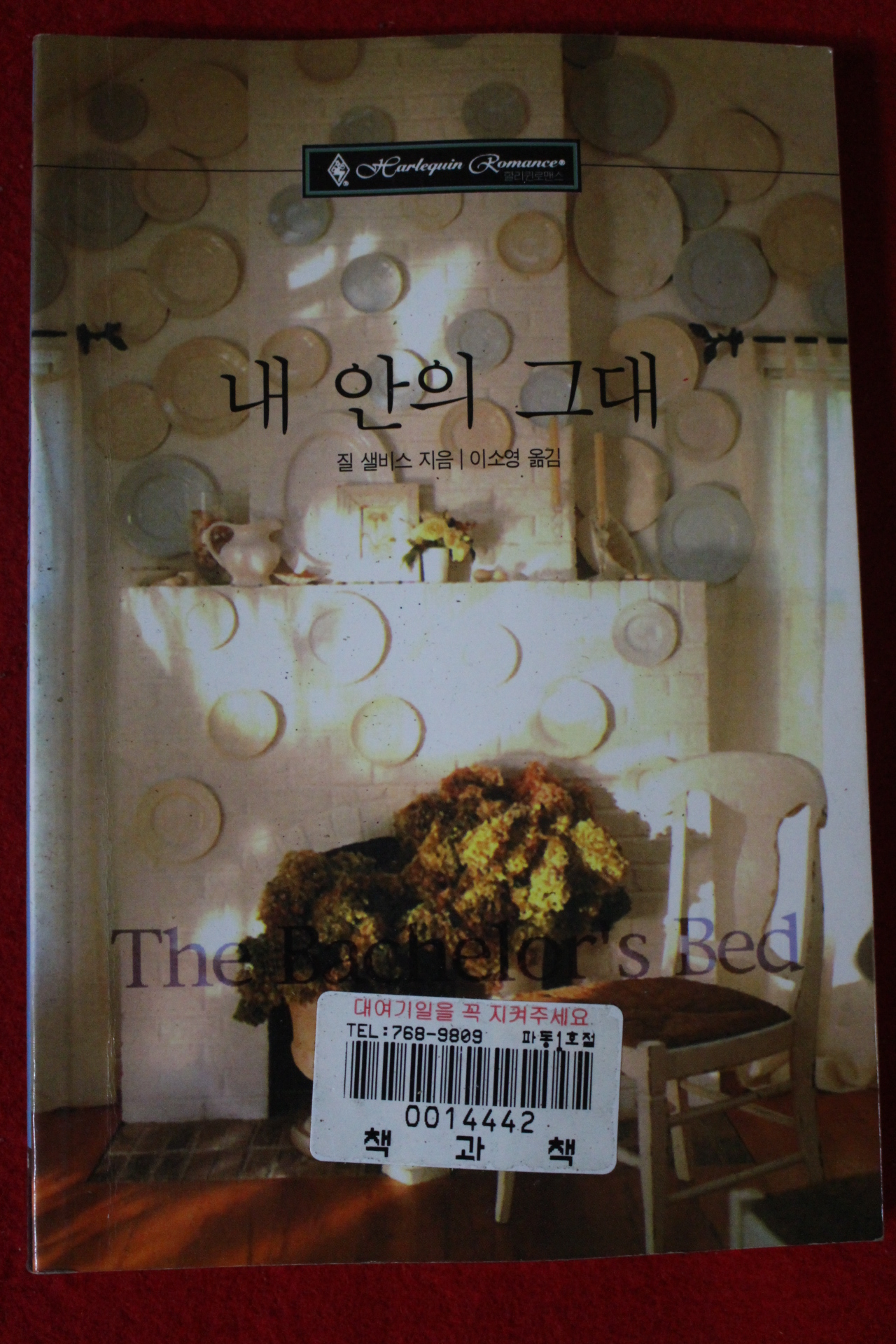 2000년 질 샐비스 내안의 그대