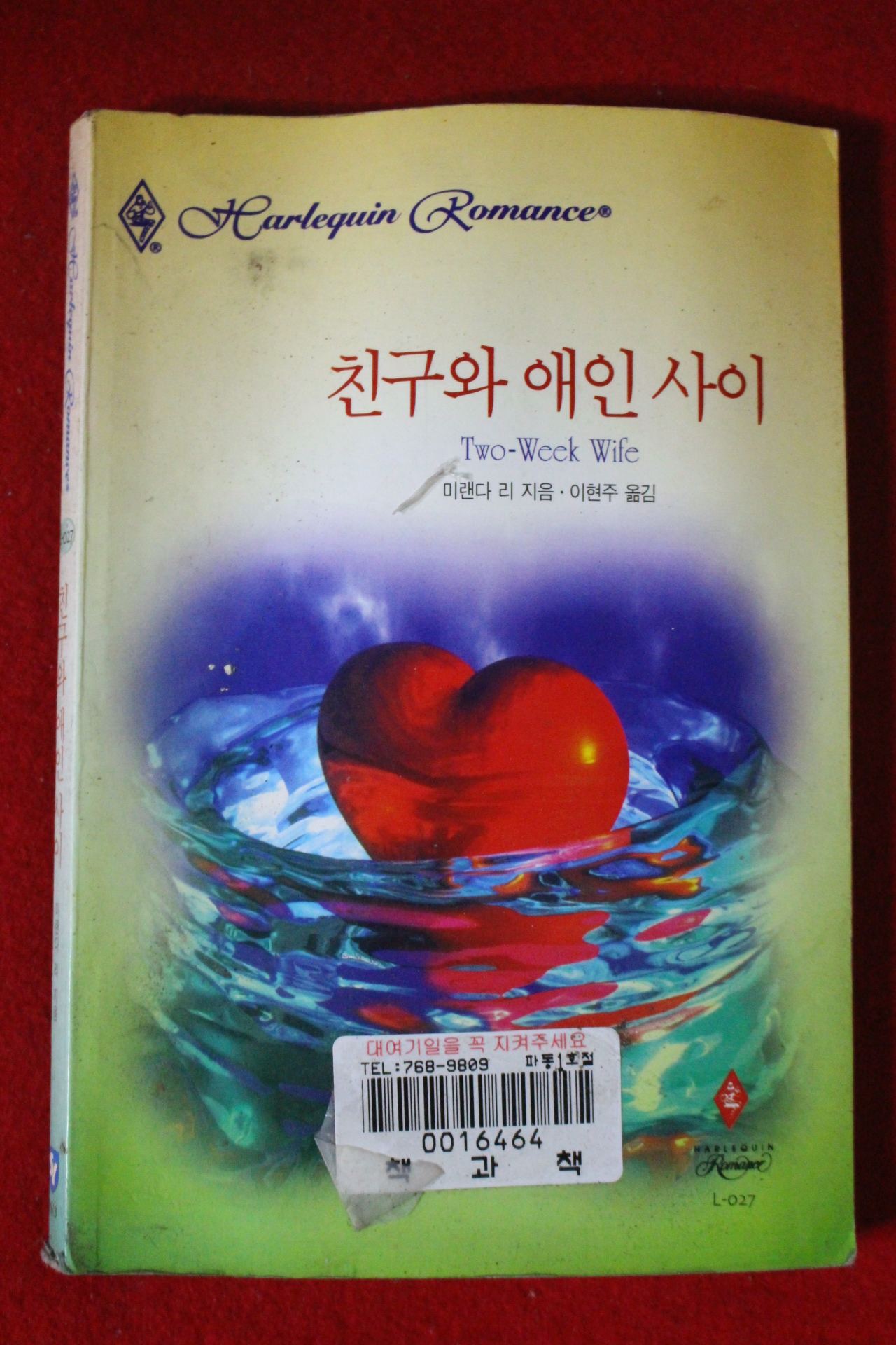 1999년 미랜다 리 친구와 애인사이