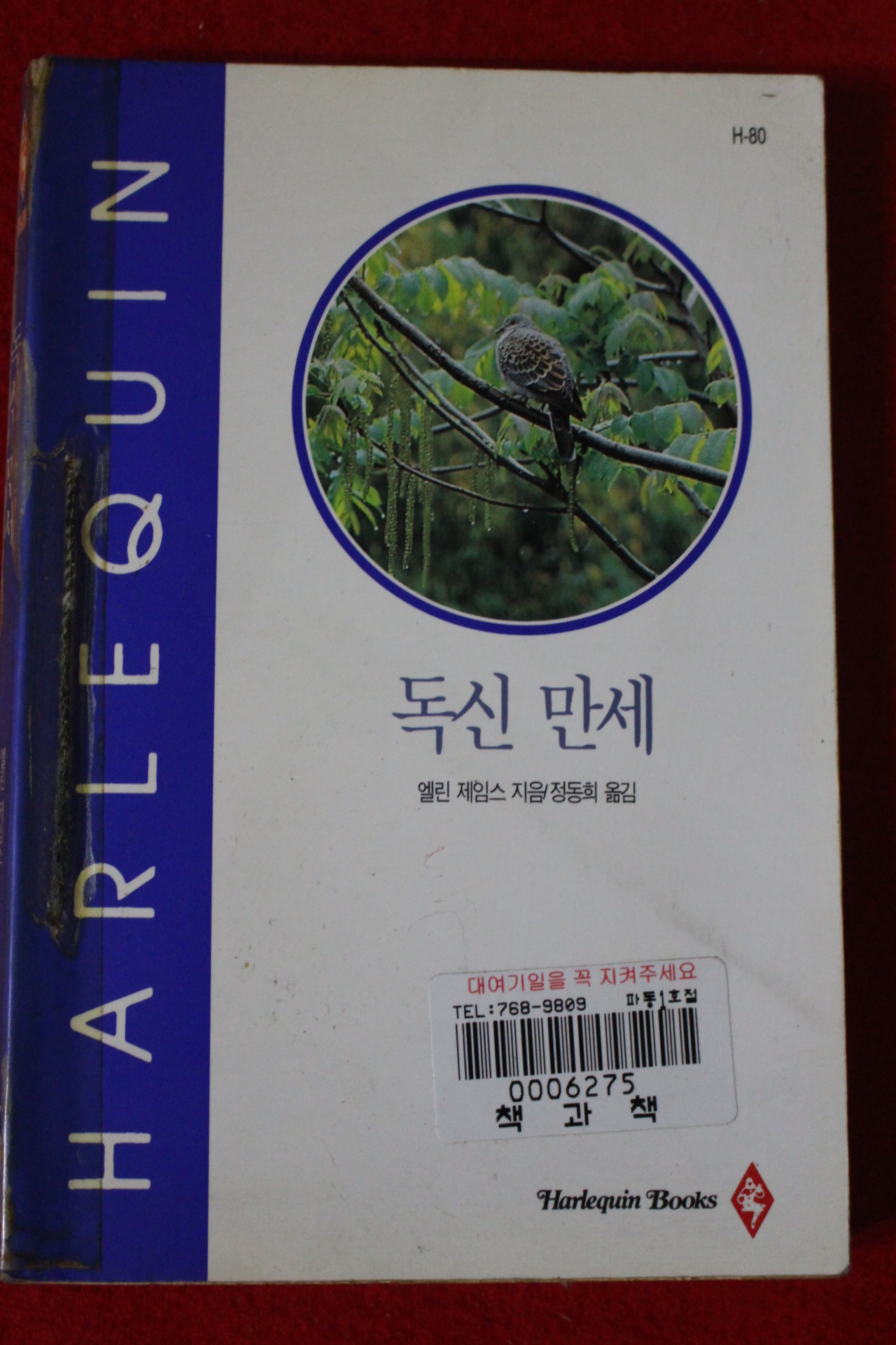 1995년 엘린 제임스 독신만세