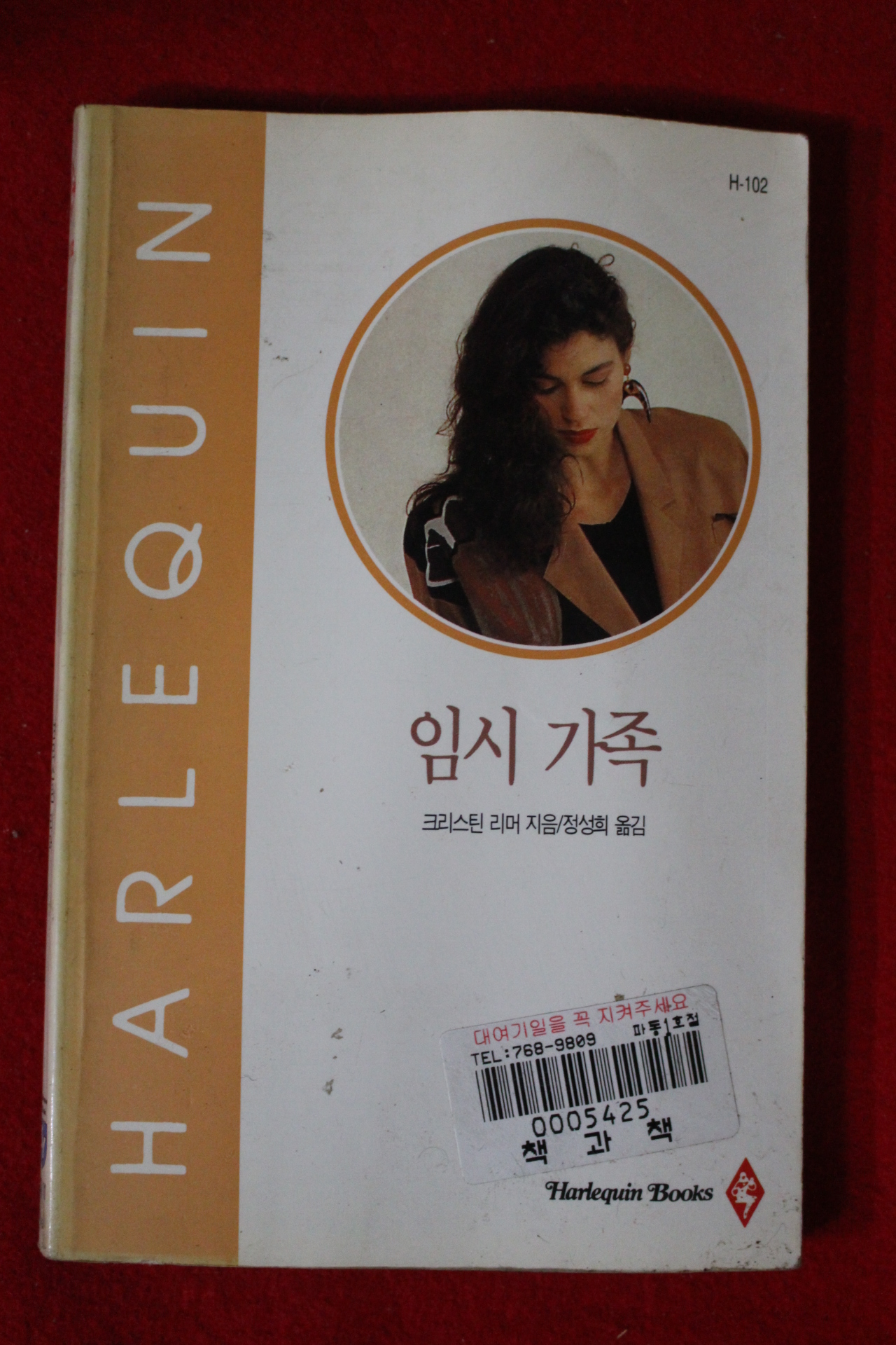 1995년 크리스틴 리머 임시가족