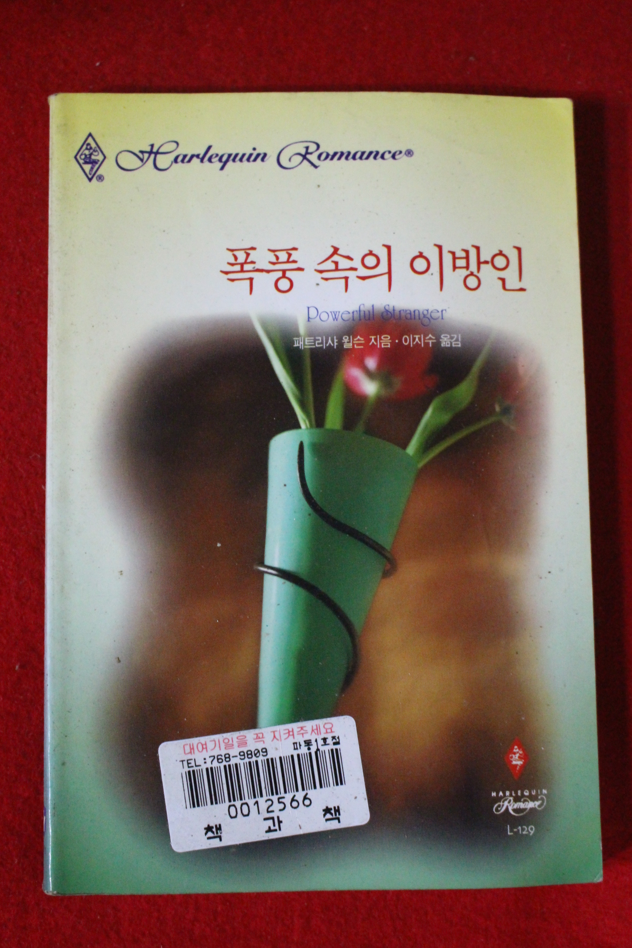 1999년 패트리샤 윌슨 폭풍속의 이방인