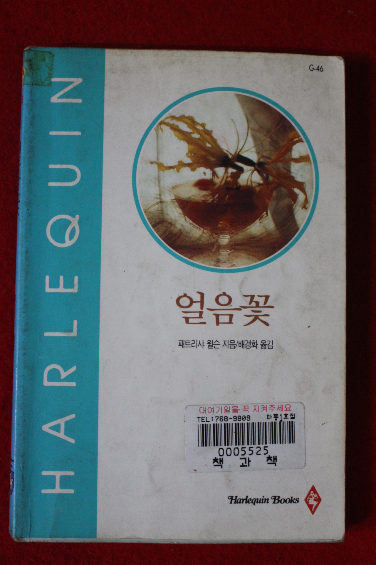 1994년 페트리샤 윌슨 얼음꽃