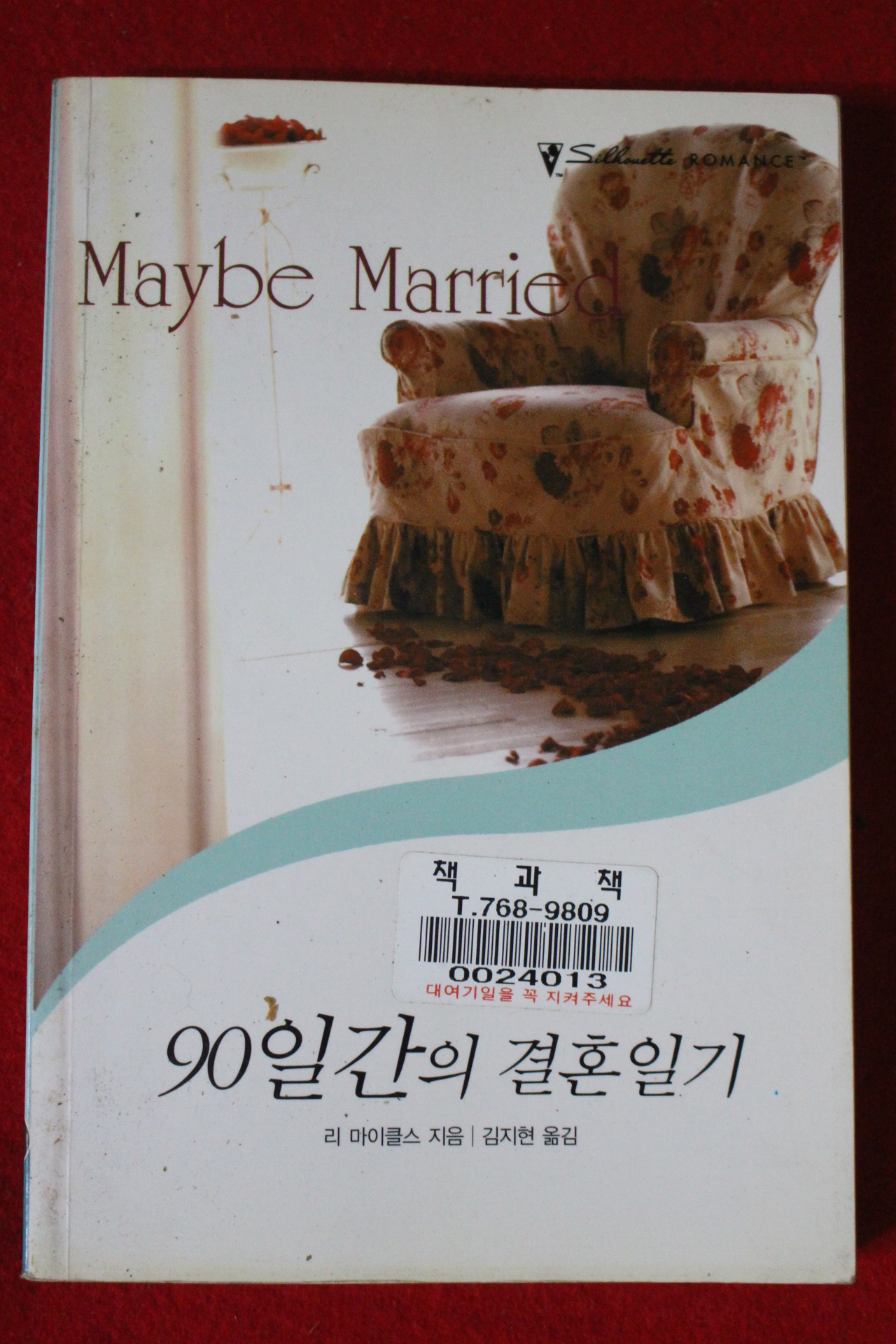 2003년 리 마이클스 90일간의 결혼일기