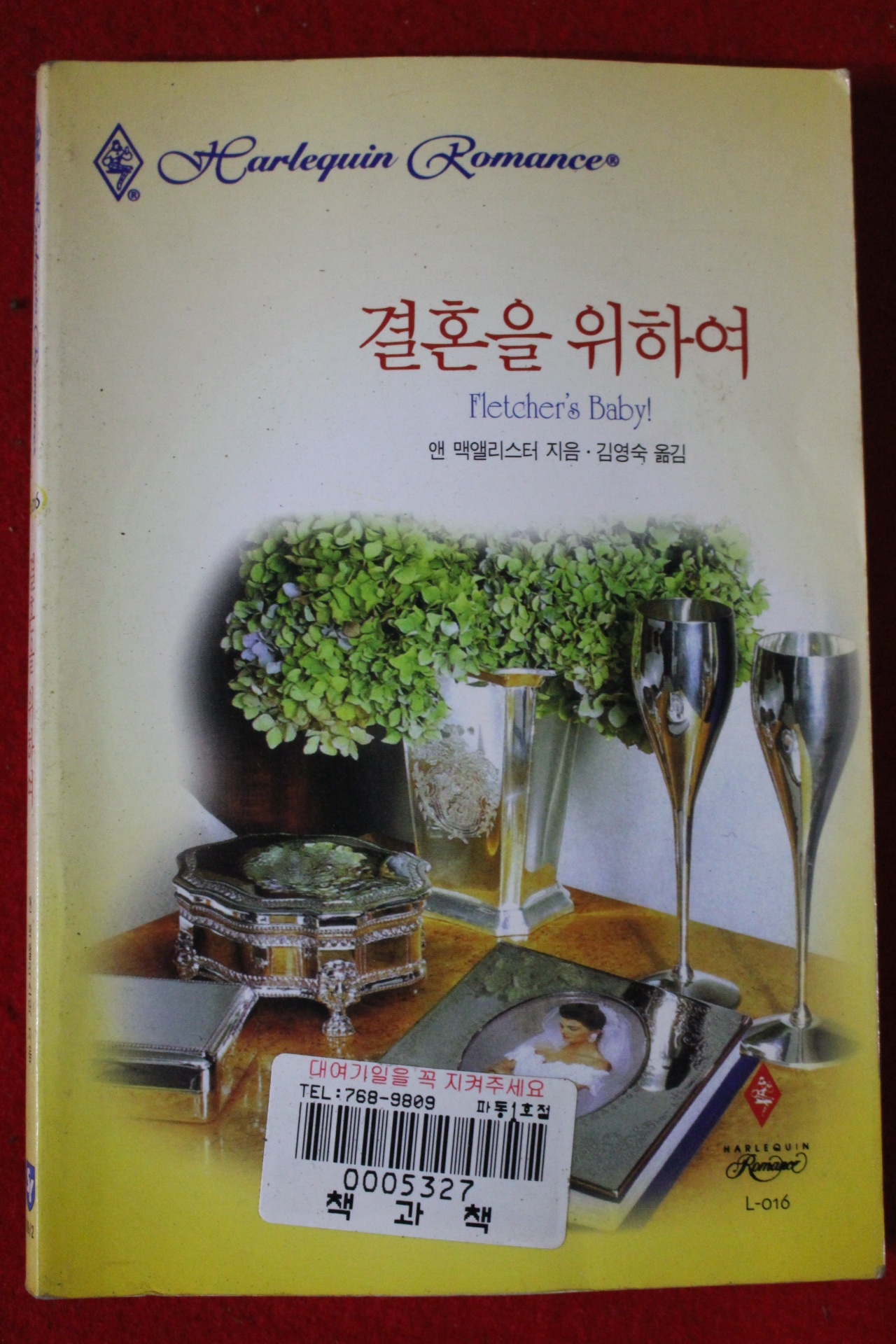 1999년 앤 맥앨리스터 결혼을 위하여