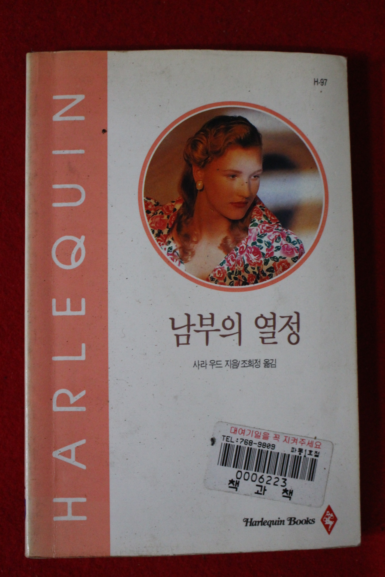 1995년 사라 우드 남부의 열정