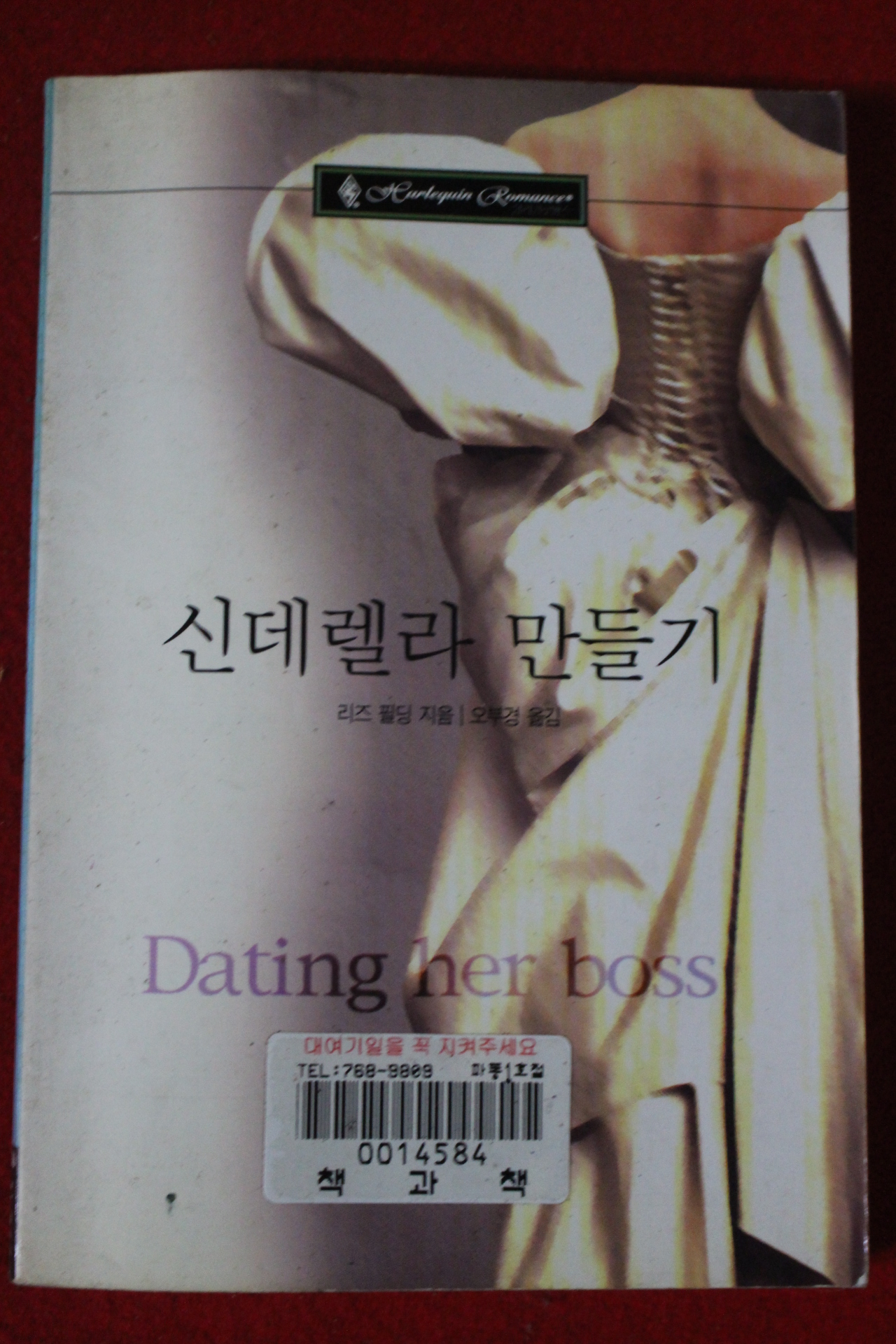 2000년 리즈 필딩 신데렐라 만들기