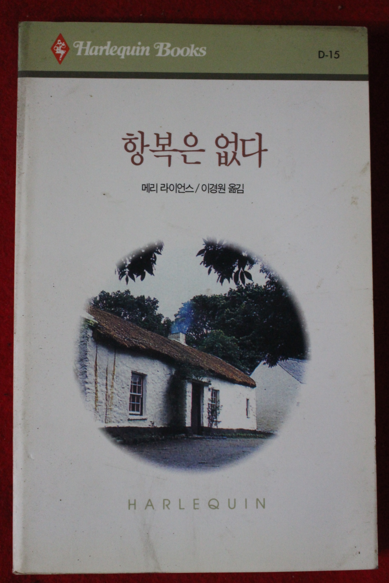 1993년 메리 라이언스 항복은 없다
