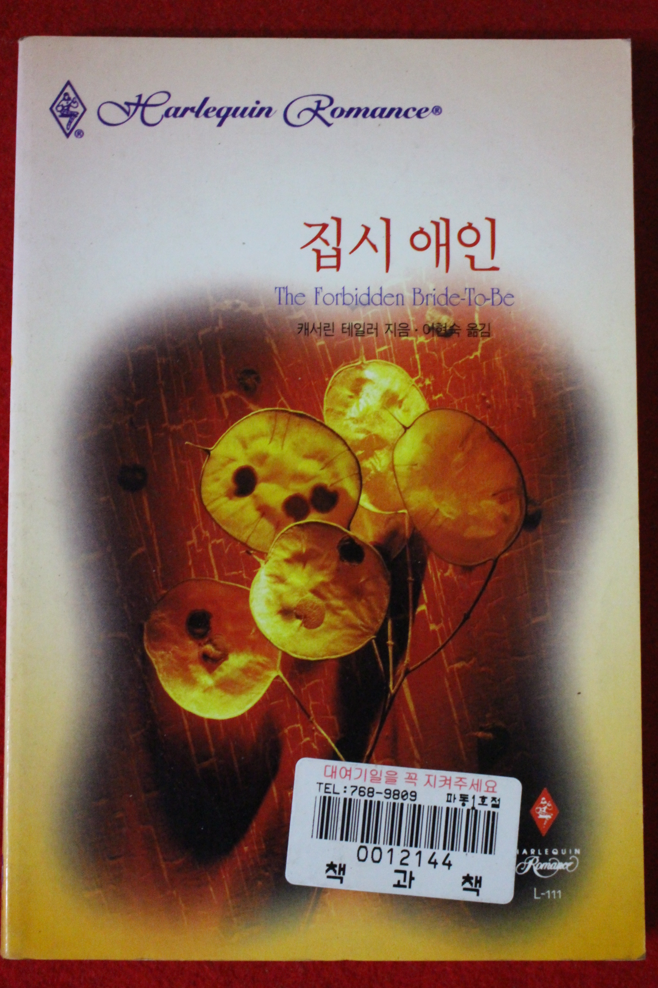 1999년 캐서린 테일러 집시애인