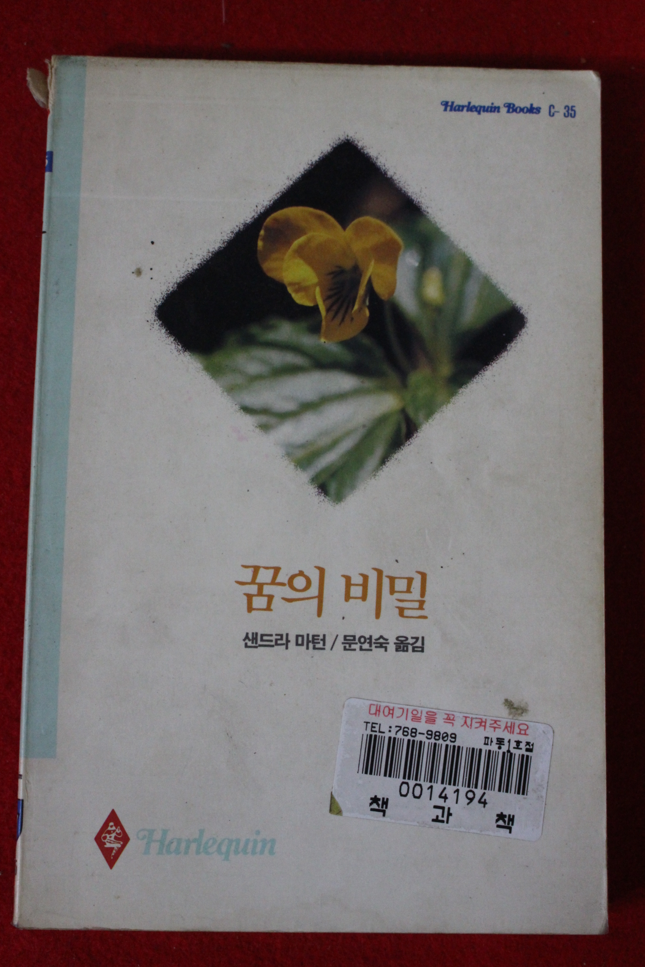 1992년 샌드라 마턴 꿈의 비밀