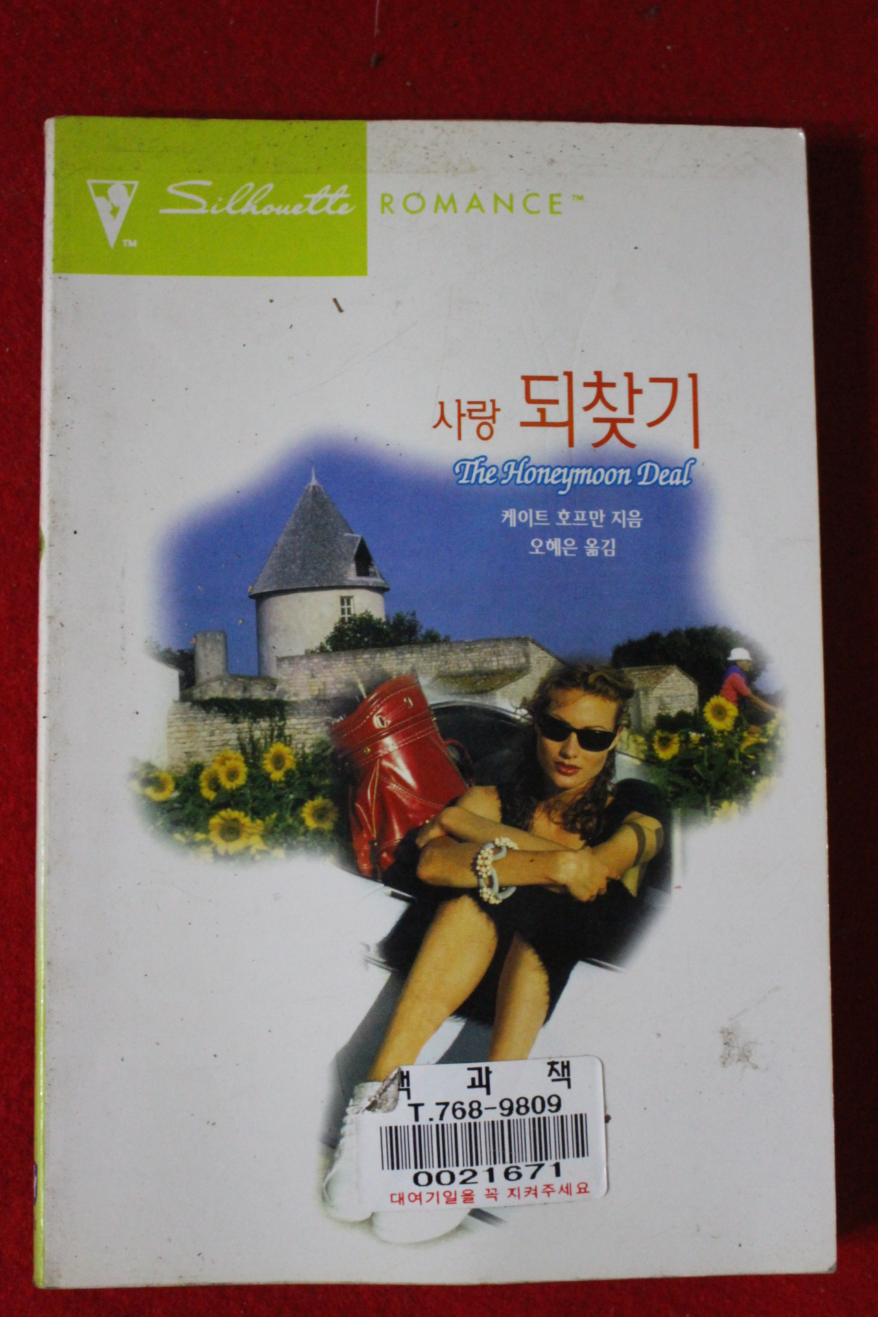 1998년 케이트 호프만 사랑되찾기