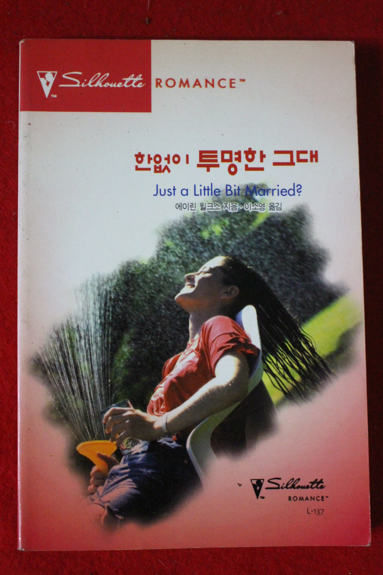 1999년 에이린 윌크스 한없이 투명한 그대
