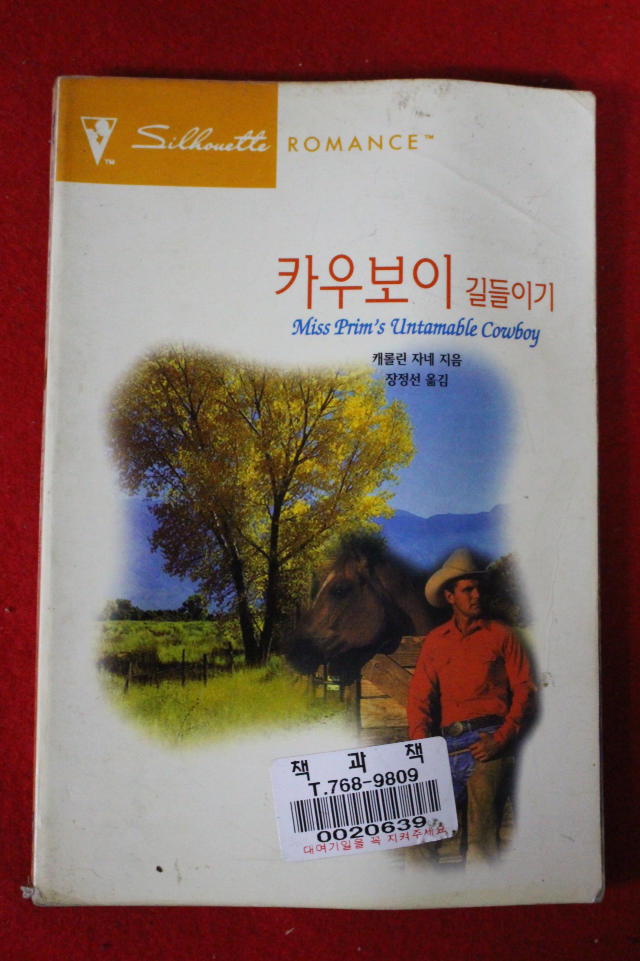 1998년 캐롤린 자네 카우보이 길들이기