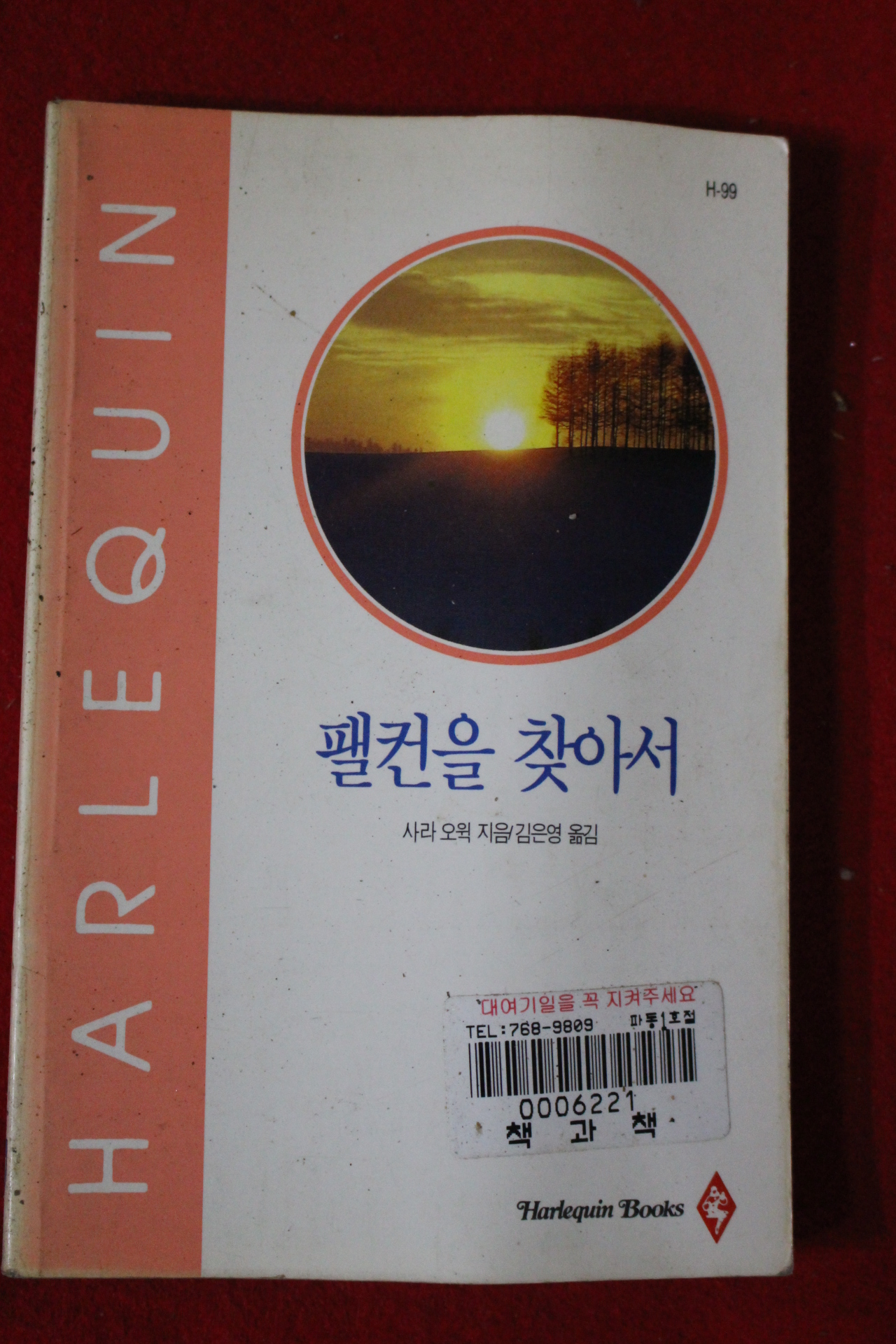 1995년 사라 오윅 팰컨을 찾아서