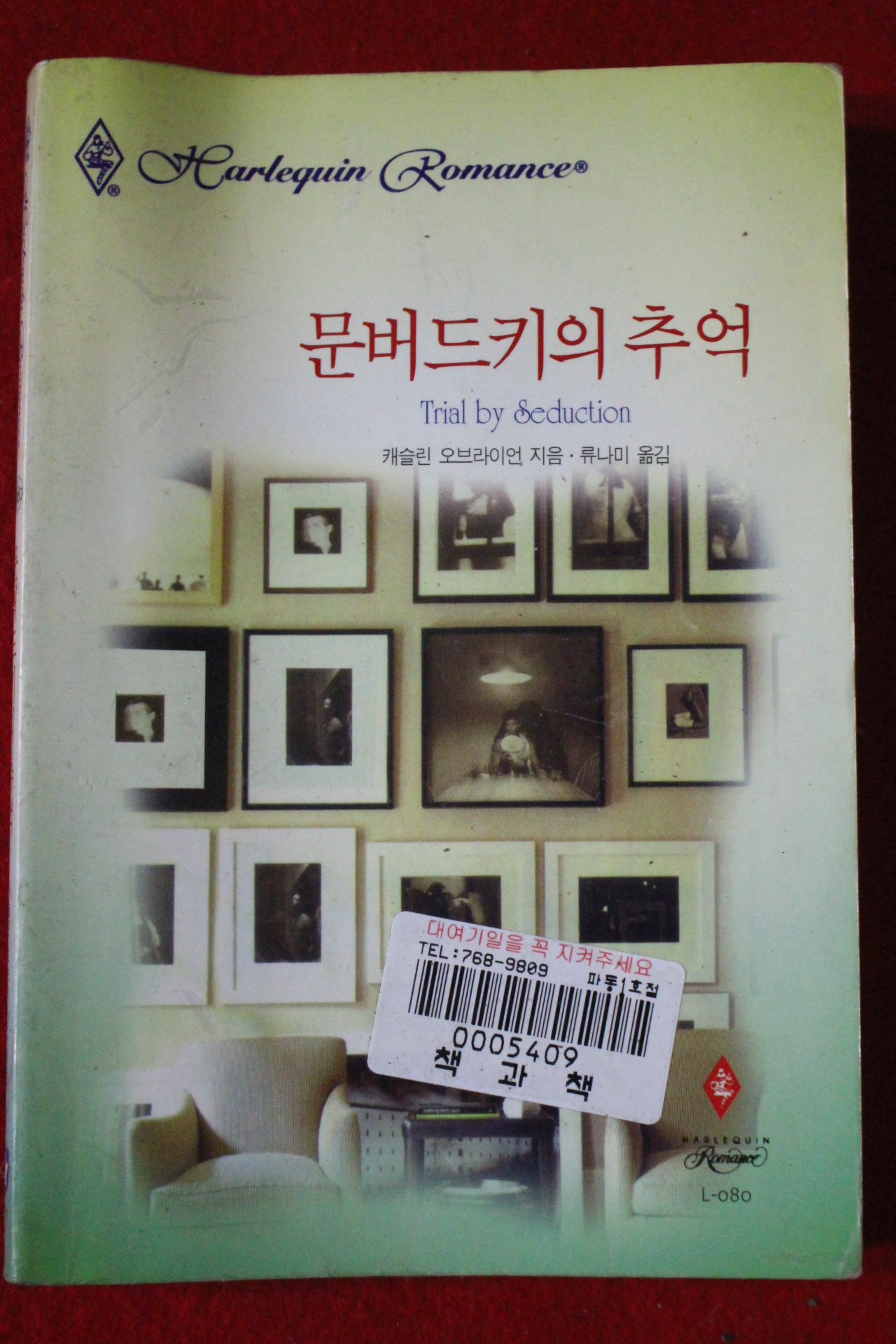 1999년 캐슬린 오브라이언 문버드키의 추억