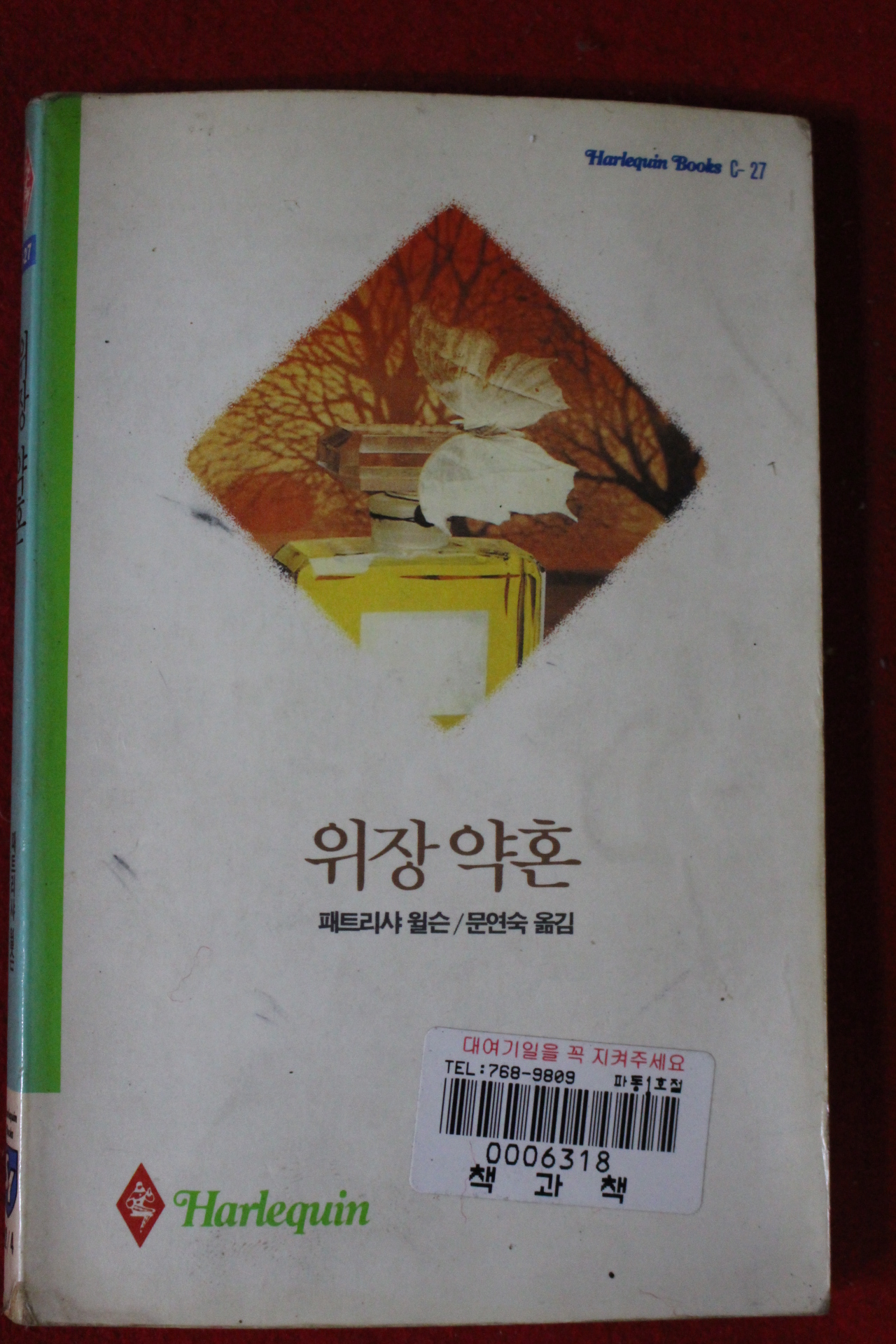 1992년 패트리샤 윌슨 위장약혼