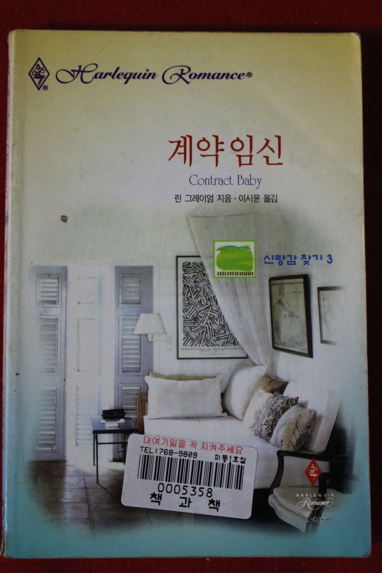 1999년 린 그레이엄 계약임신