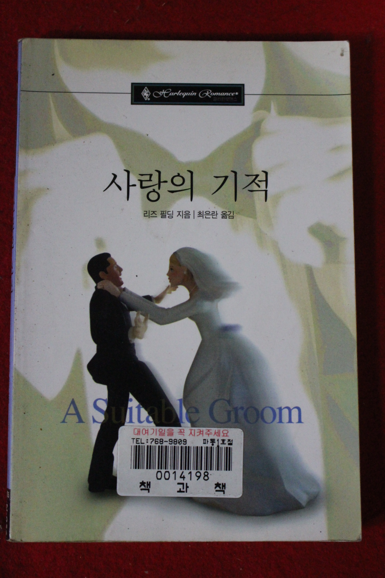 2000년 리즈 필딩 사랑의 기적