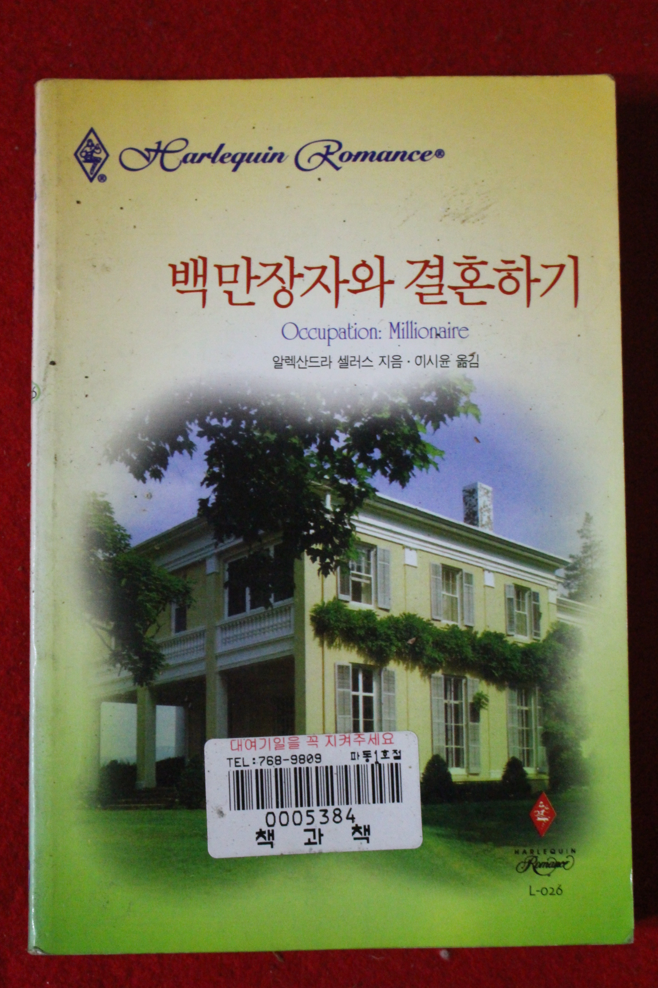 1999년 알렉산드라 셀러스 백만장자와 결혼하기