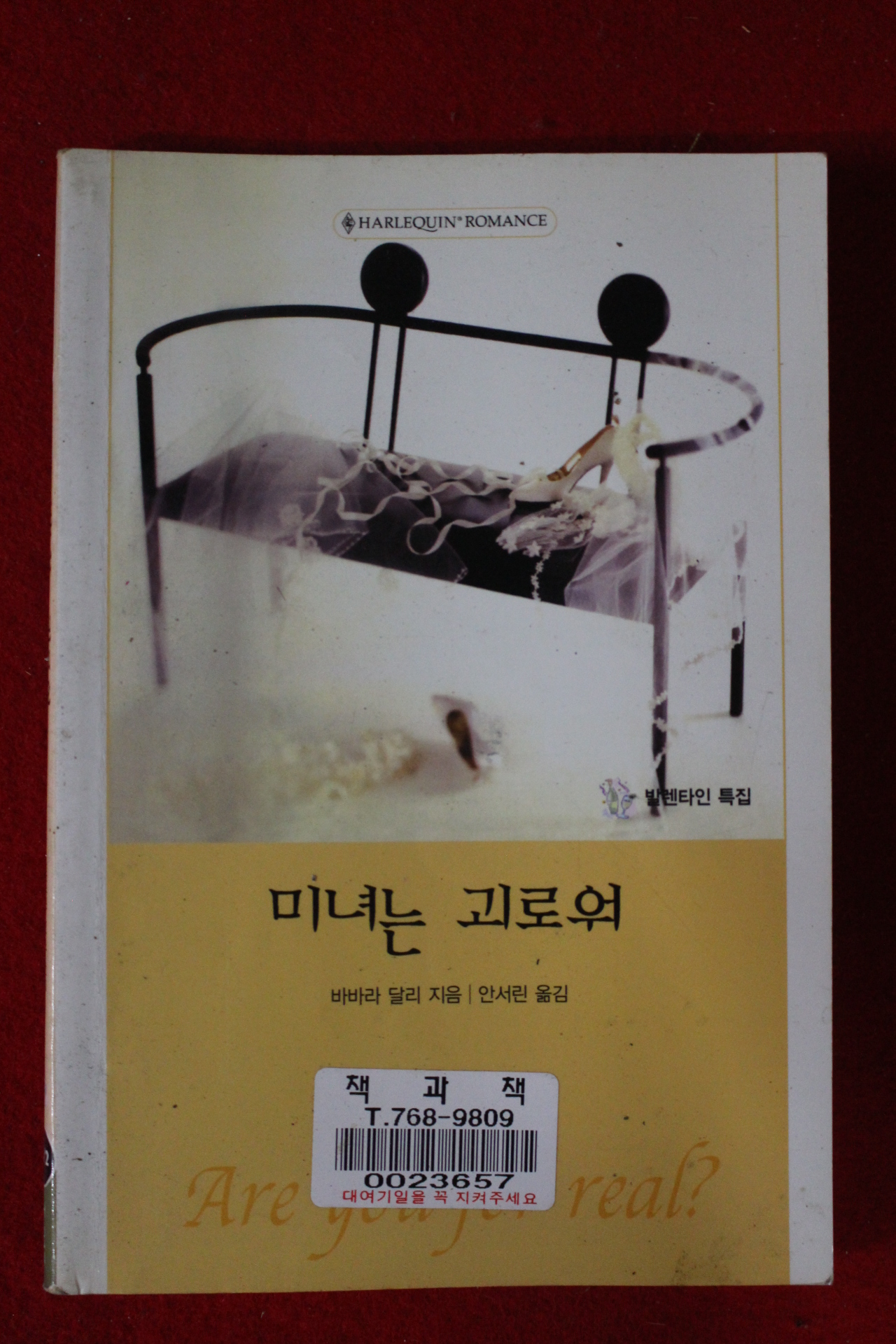 2003년 바바라 달리 미녀는 괴로워