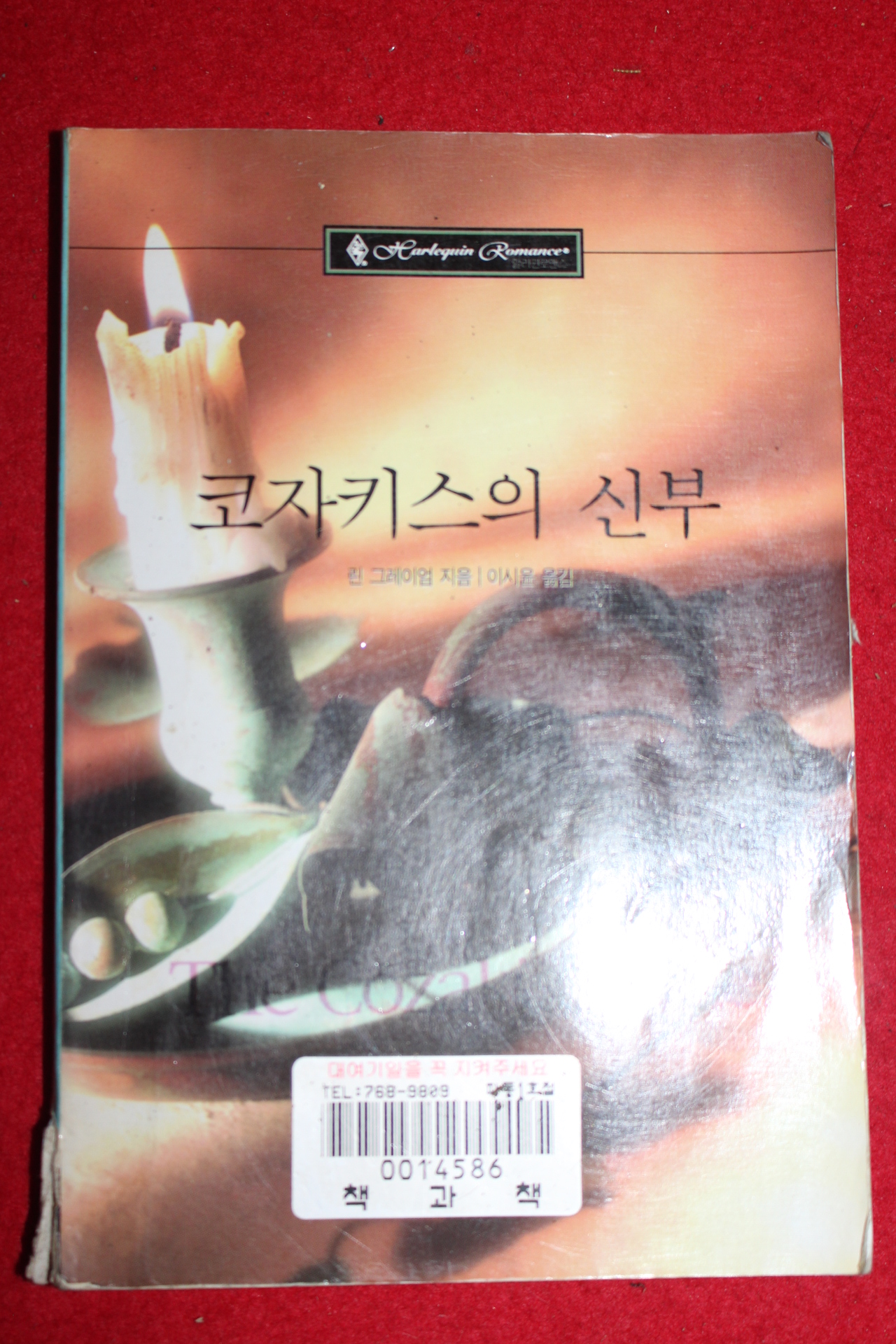 2000년 린 그레이엄 코자키스의 신부