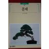 1994년 빛깔있는 책들 분재