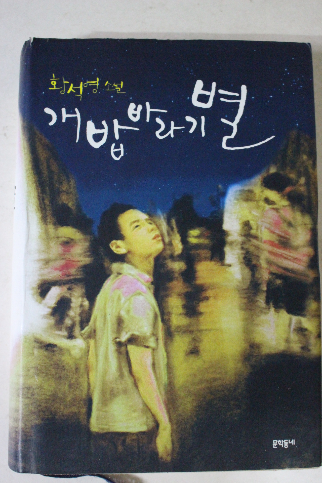 2008년 황석영소설 개밥바라기별