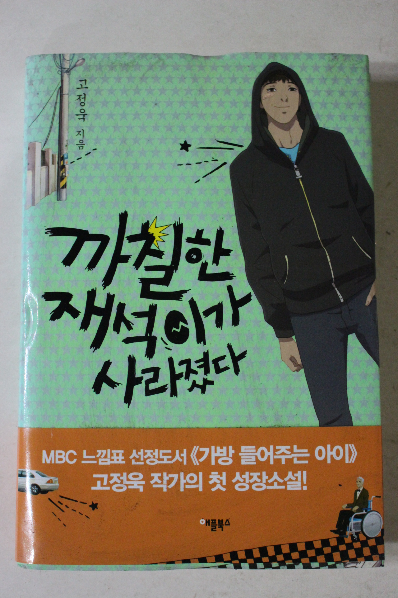 2013년 고정욱 까칠한 재삭이가 사라졌다