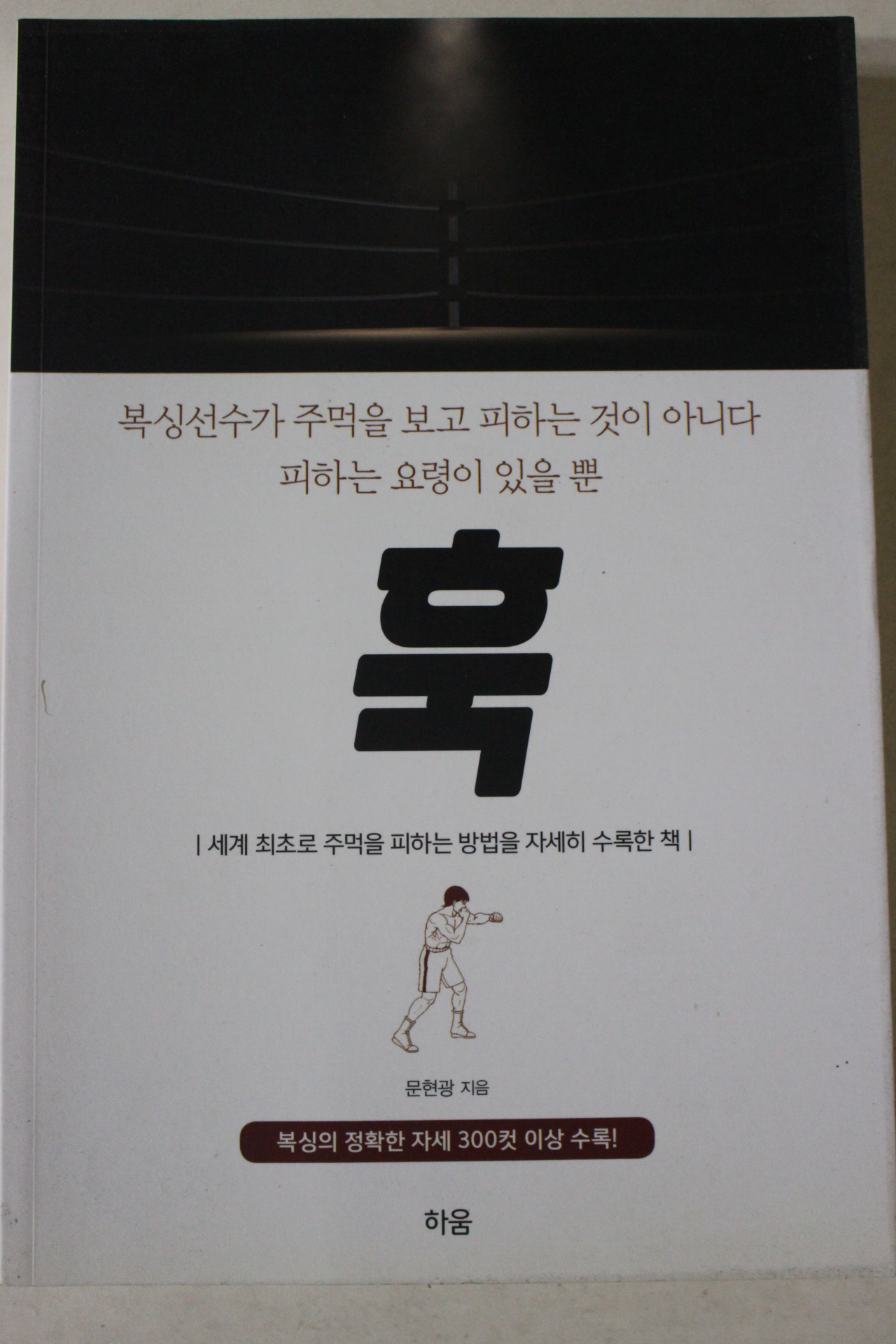 2017년 문현광 훅