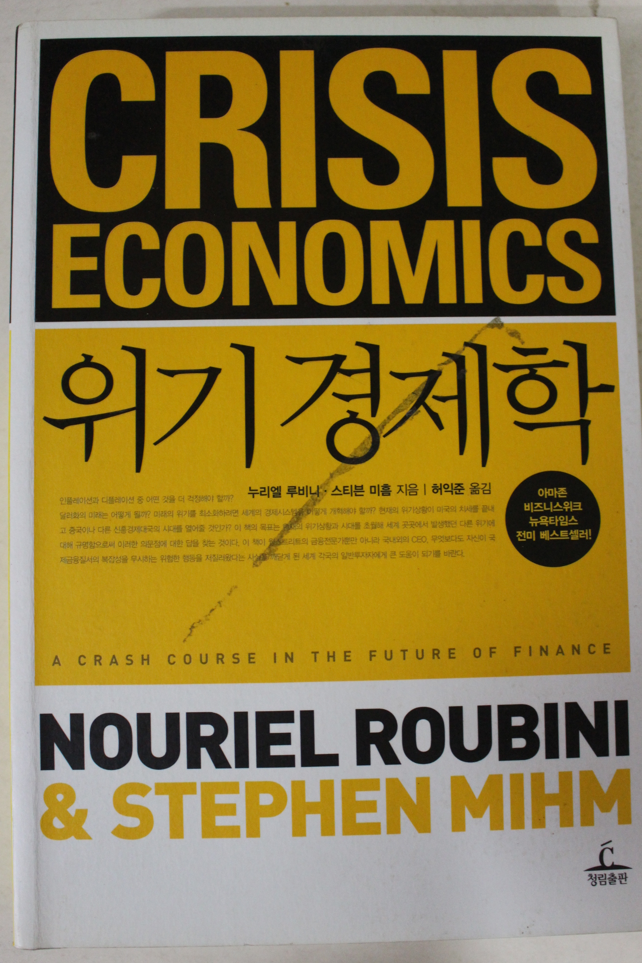 2010년초판 누리엘 루비나 위기경제학