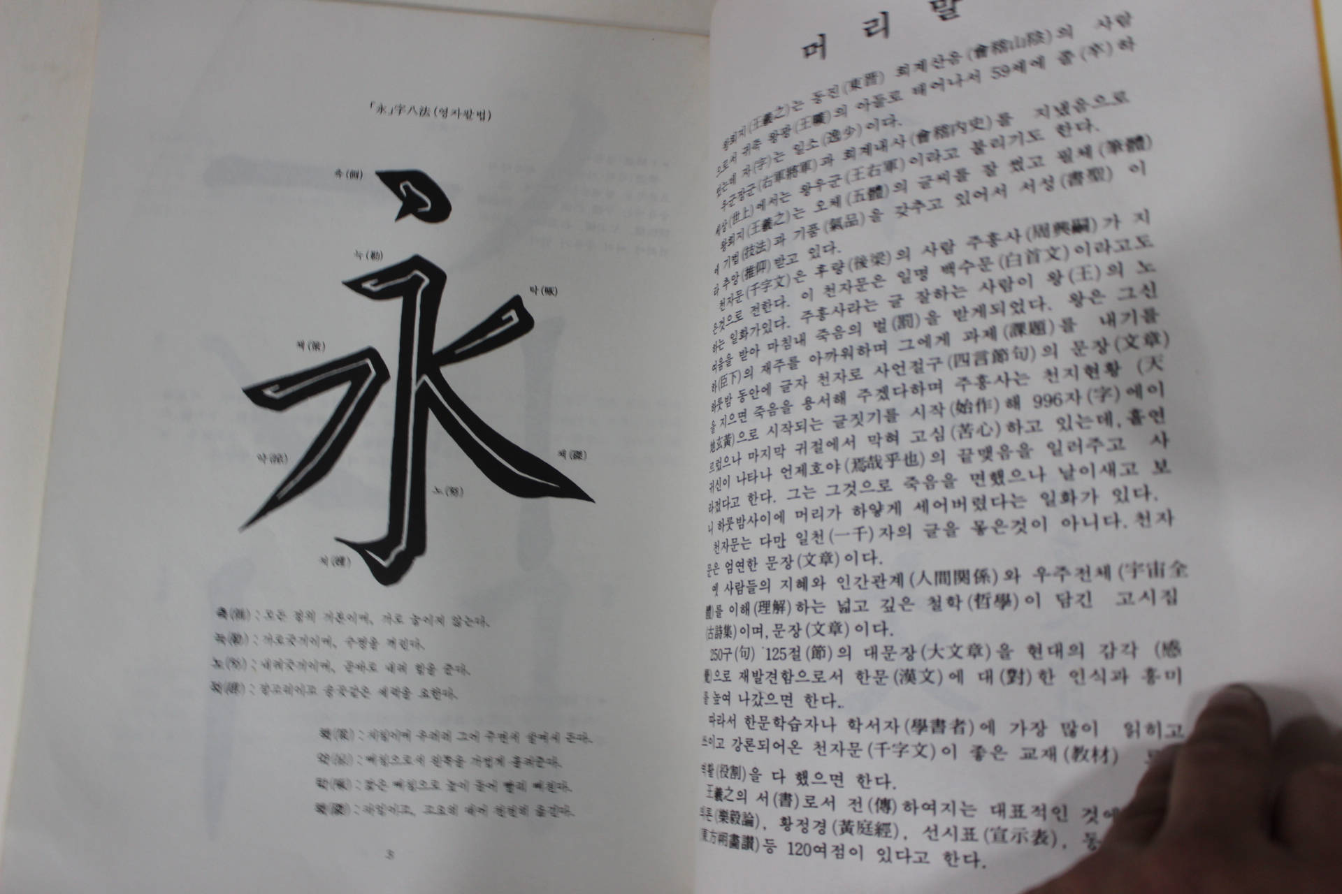 1991년 왕의지 천자문