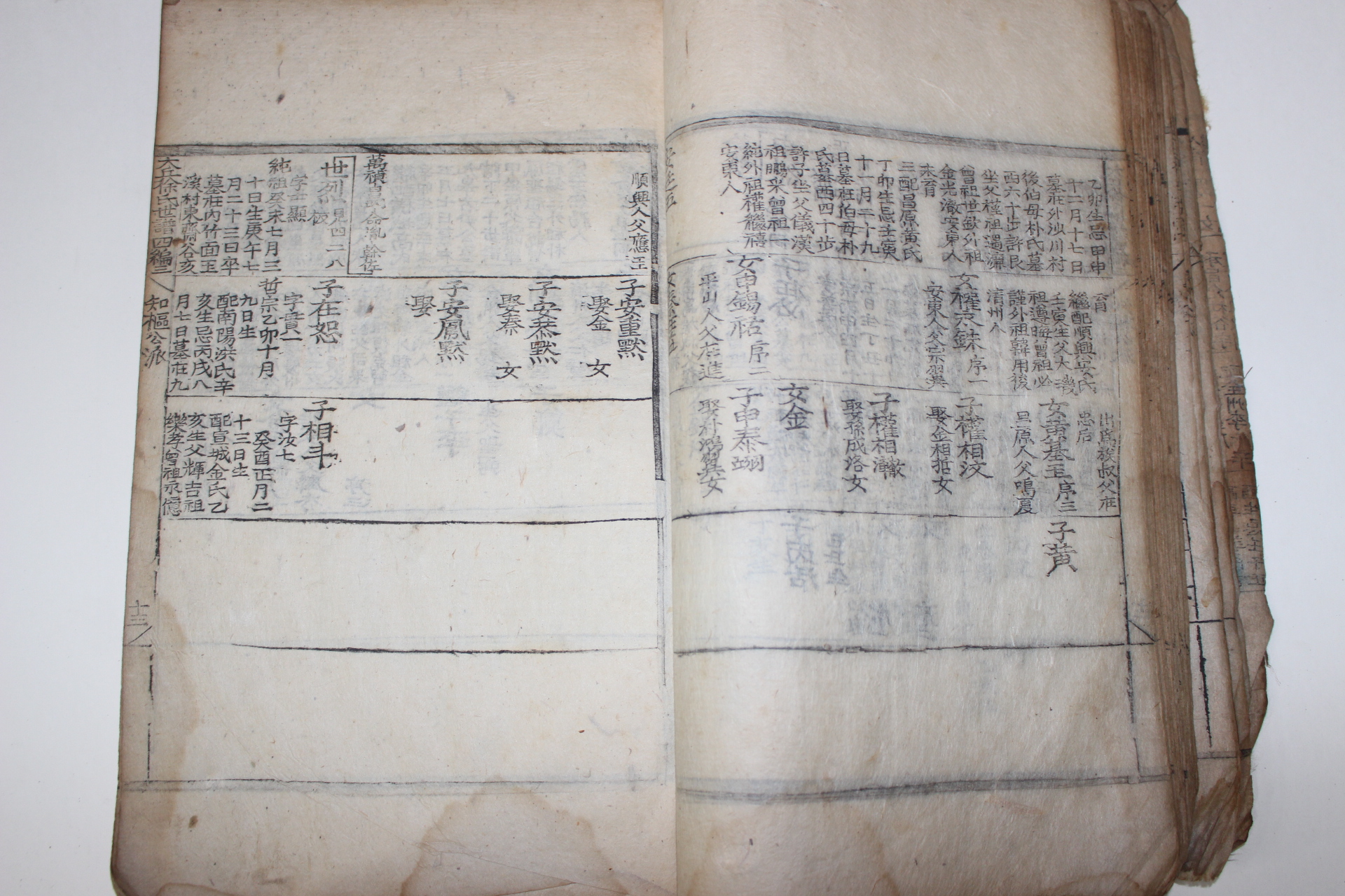 조선시대 목판본 대구서씨세보(大邱徐氏世譜)지추공파(知樞公派) 1책