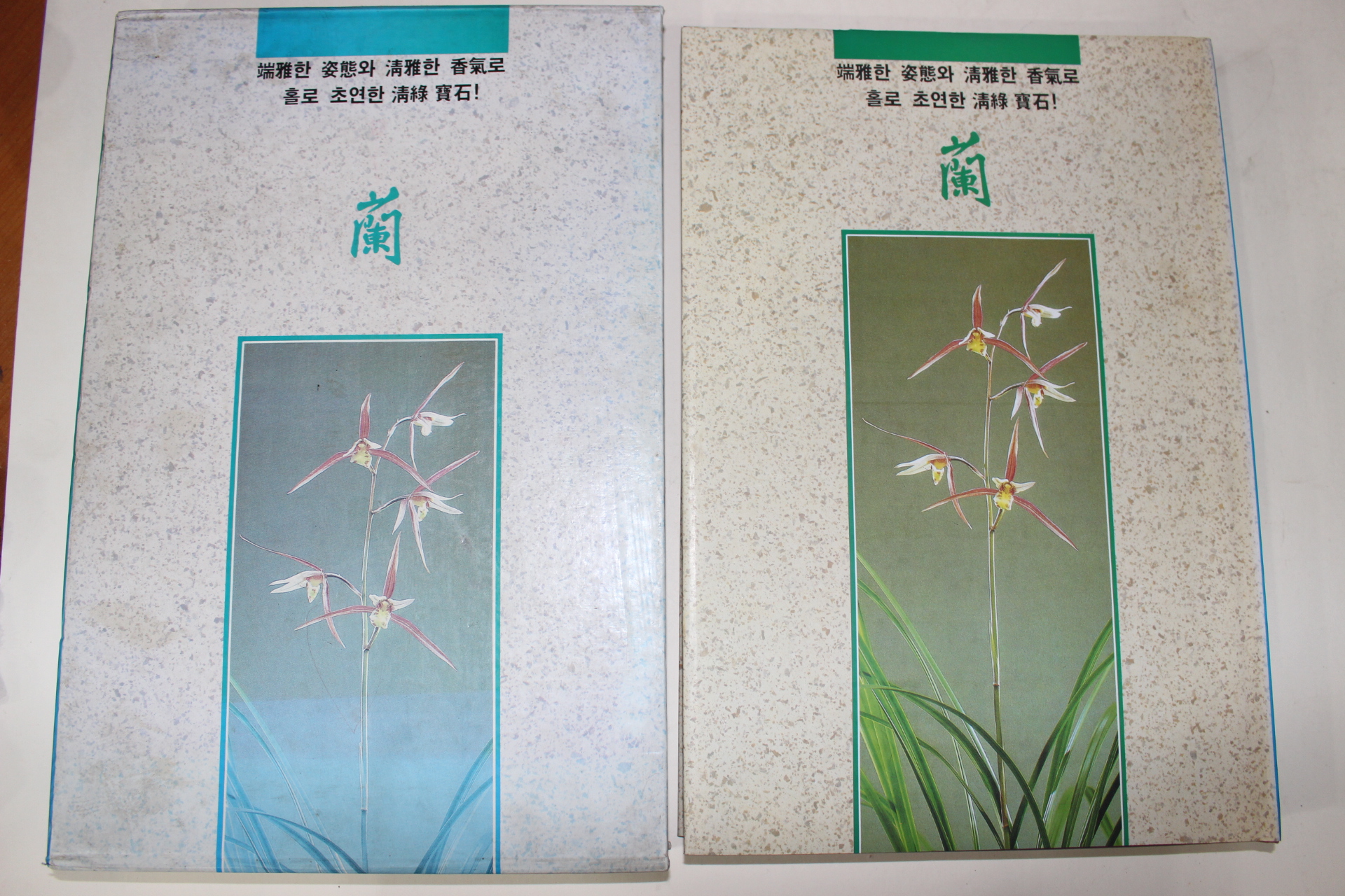 1993년 한국 서양 동양 중국난 대감