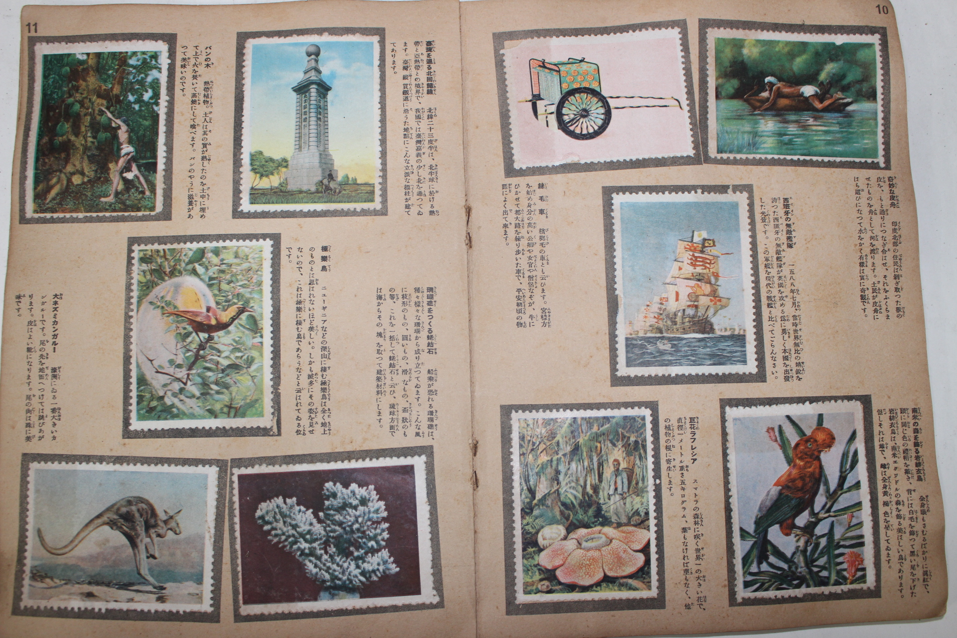 1930년(소화5년) 일본간행 소년박물관