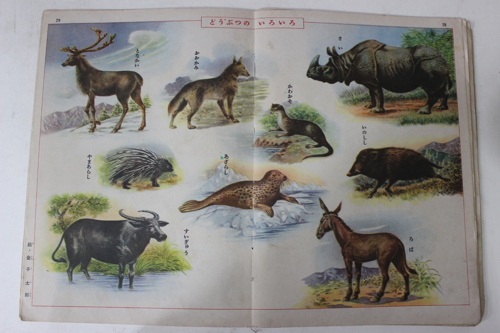 1952년 일본간행 동물원