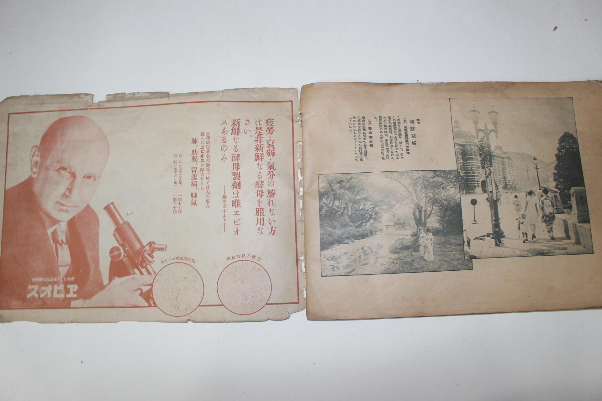 1931년(소화6년) 서일본현재풍경