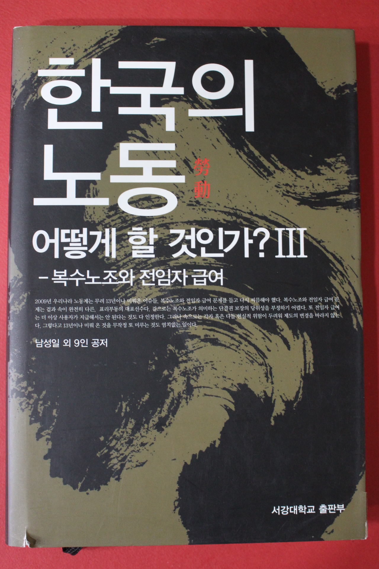 2010년 남성일외 한국의 노동