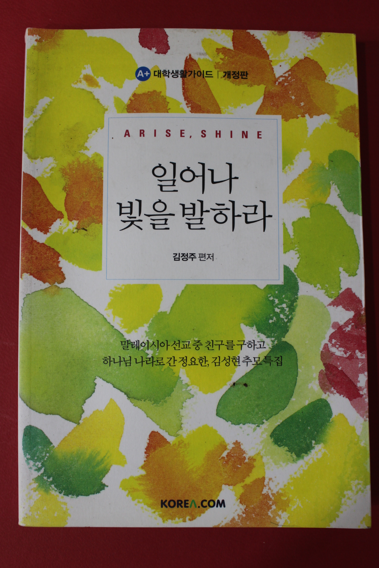 2013년 김정주 일어나 빛을 발하라