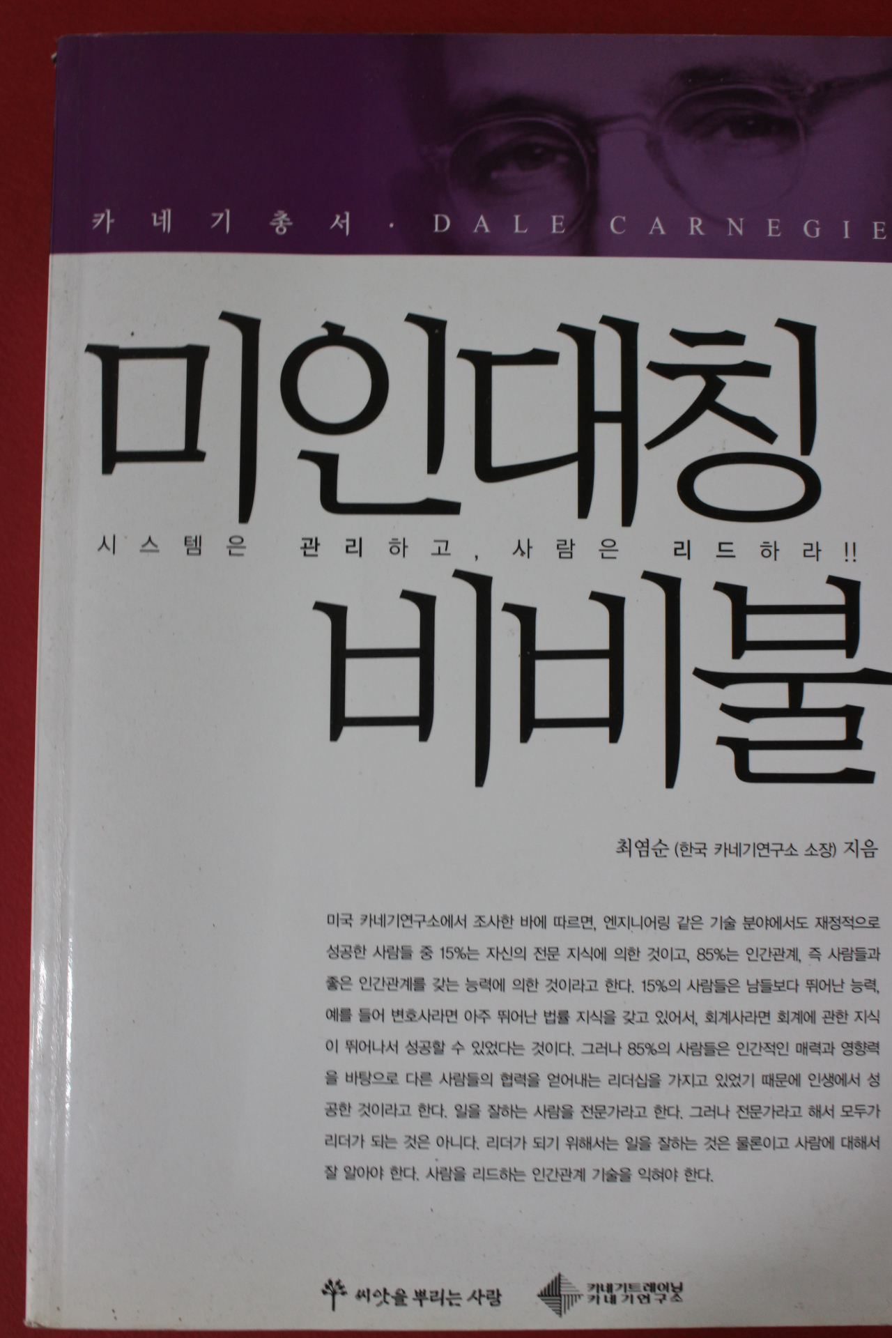2007년초판 최염순 미인대칭 비비불